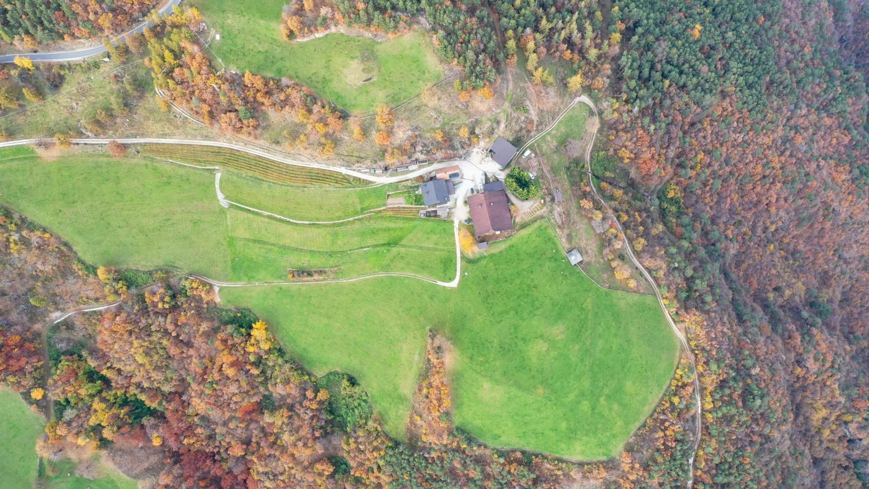 Unterkofler Farm Holiday - Peaceful Nature Stay with Stunning Panoramic Views near Bolzano view 4
