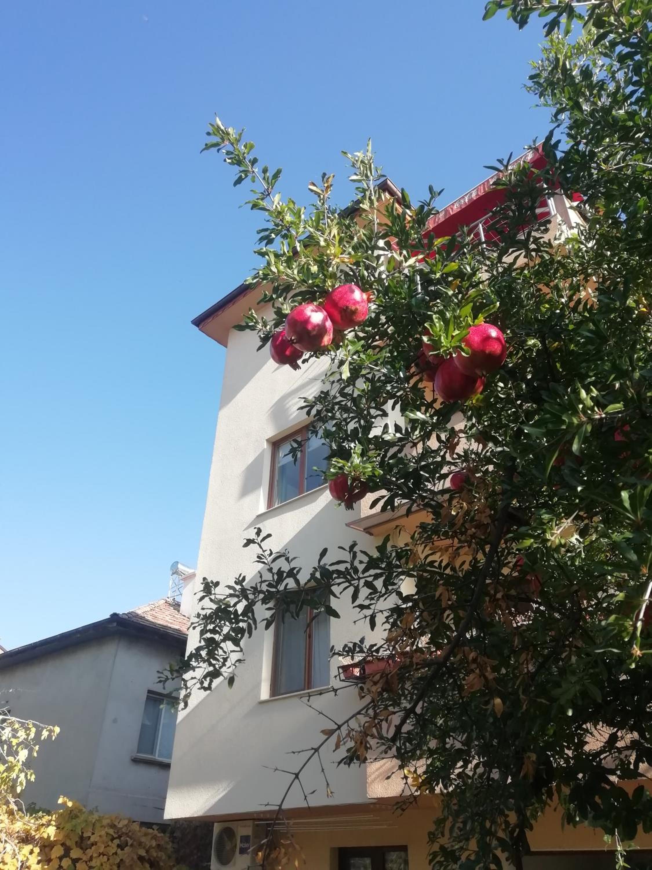 Photo 38