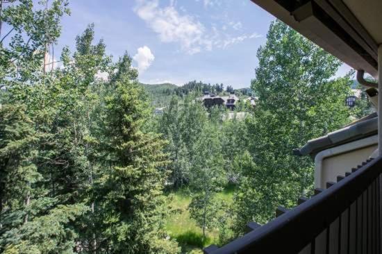 Townsend Place in Beaver Creek VIllage - Property Image 4