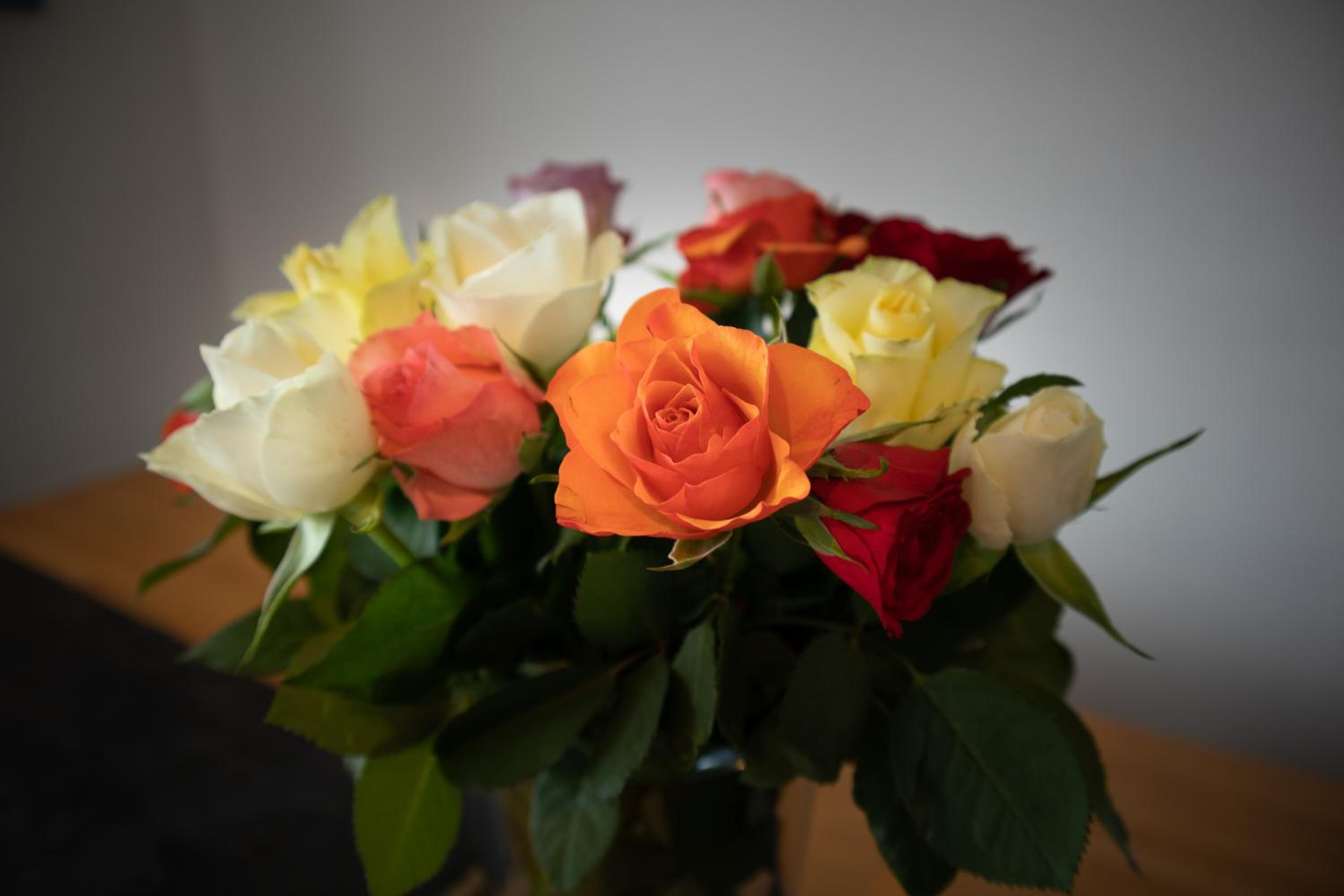 Photo 23