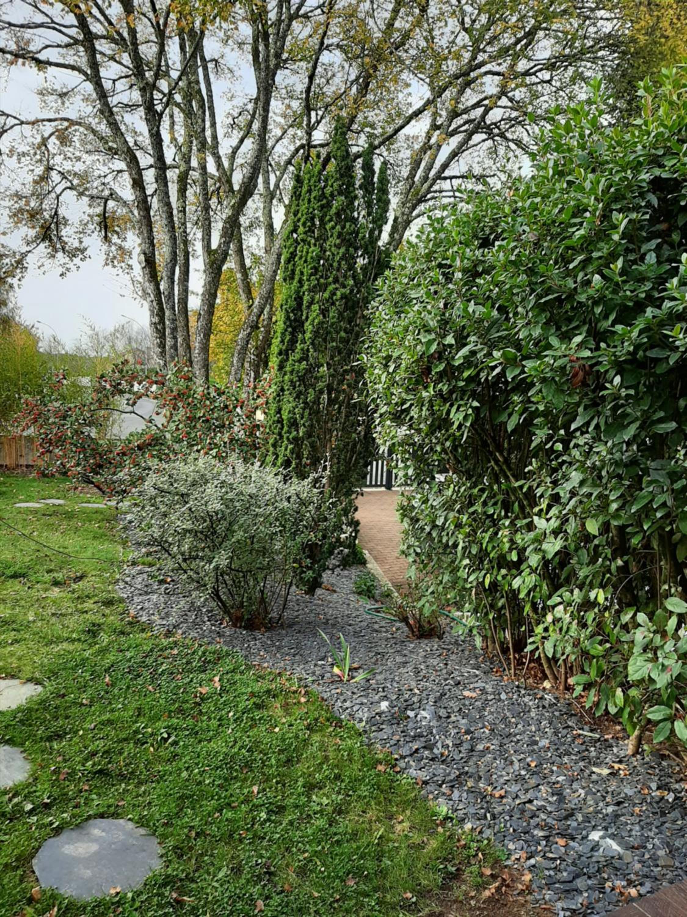 Photo 25