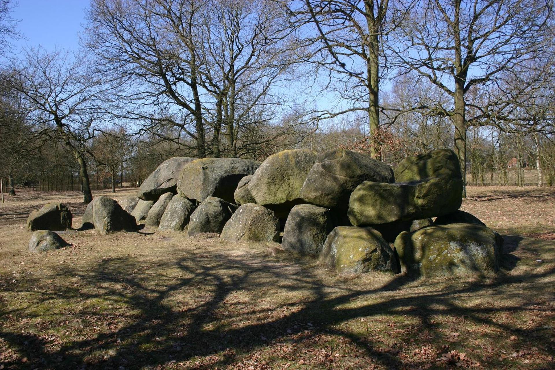 Photo 25