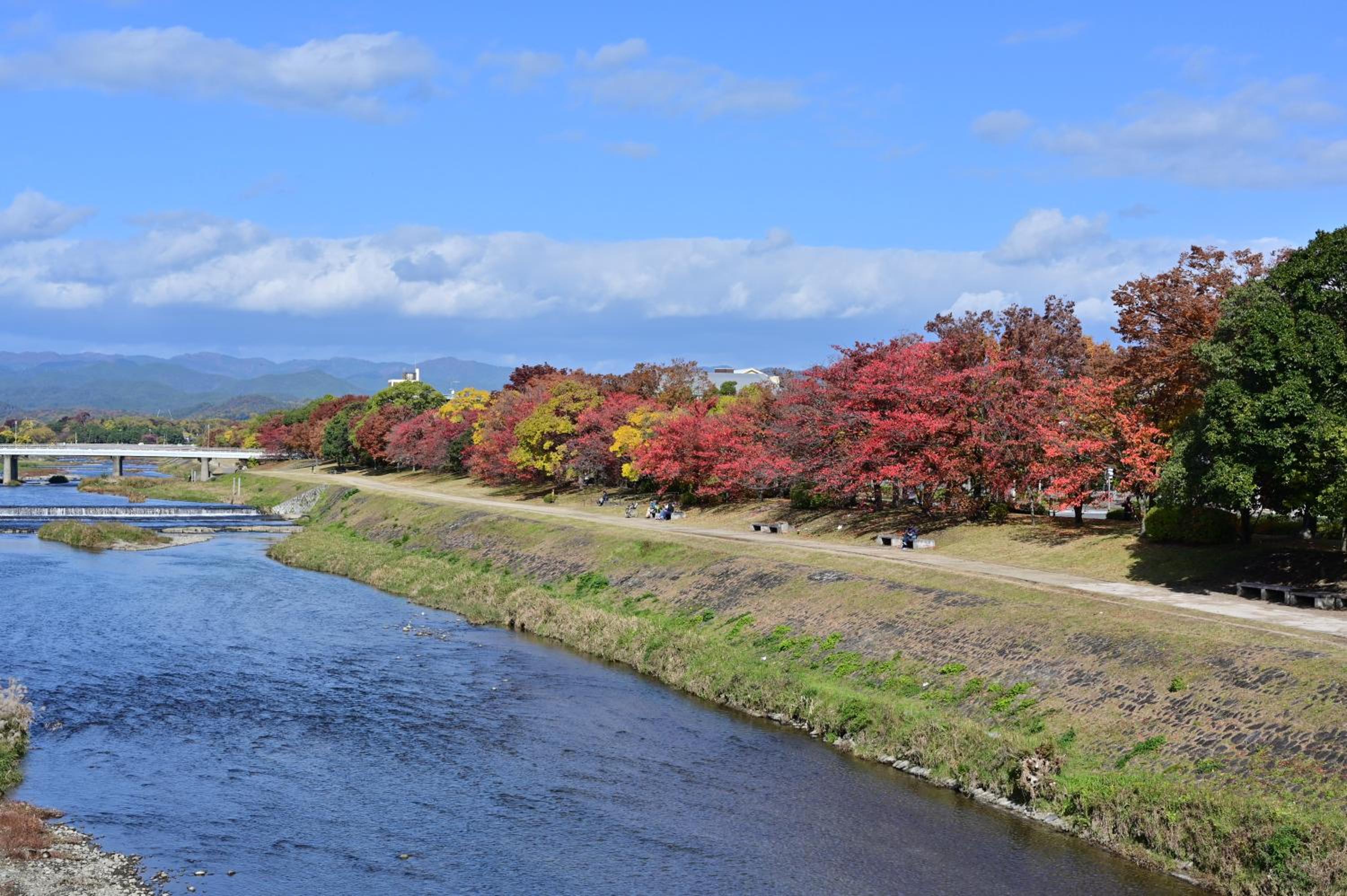 鴨川 栄の屋 Traditional Machiya 1 min to Kamo River, metro, bus