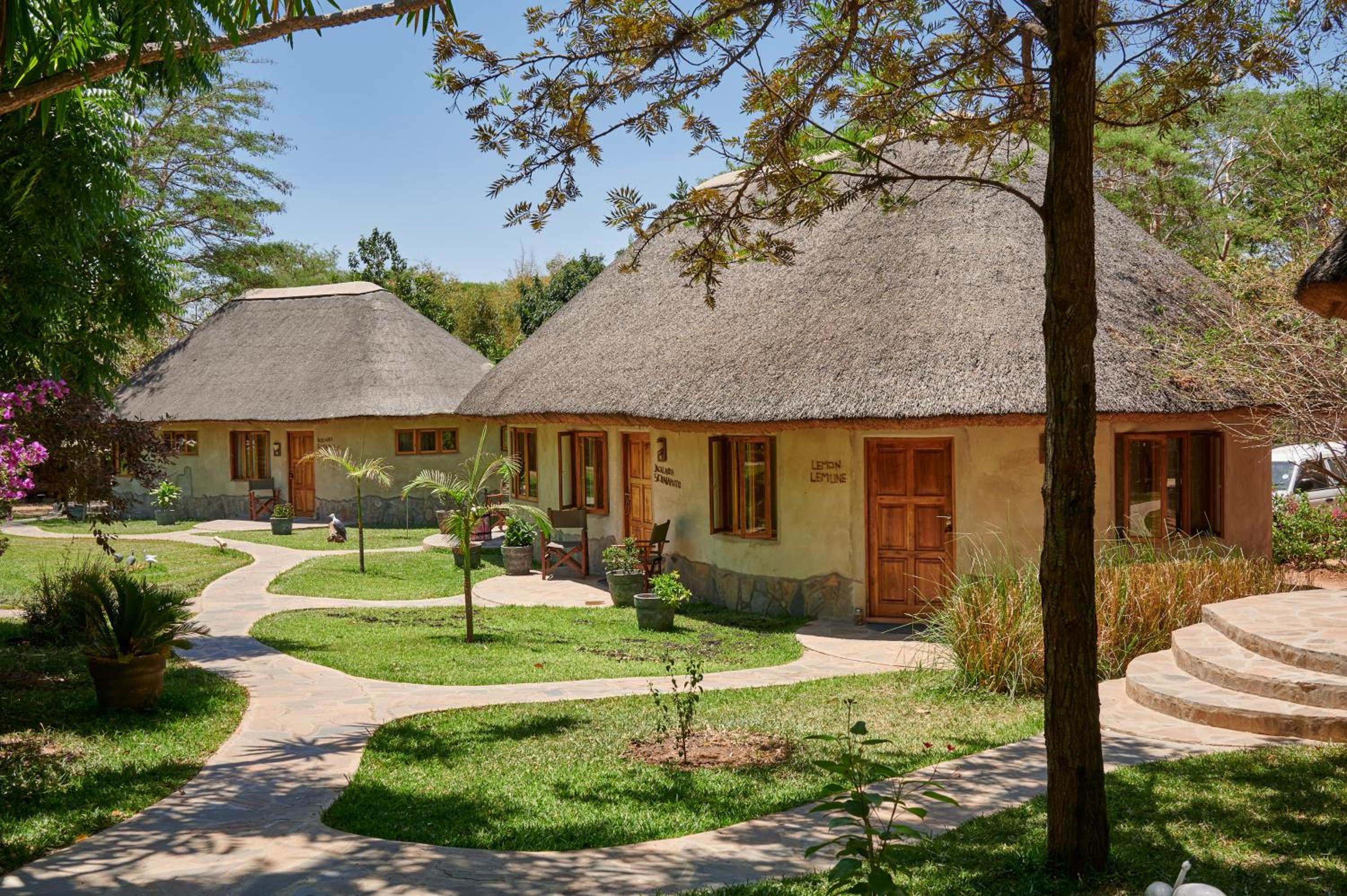 Wild Dogs Lodge view 2