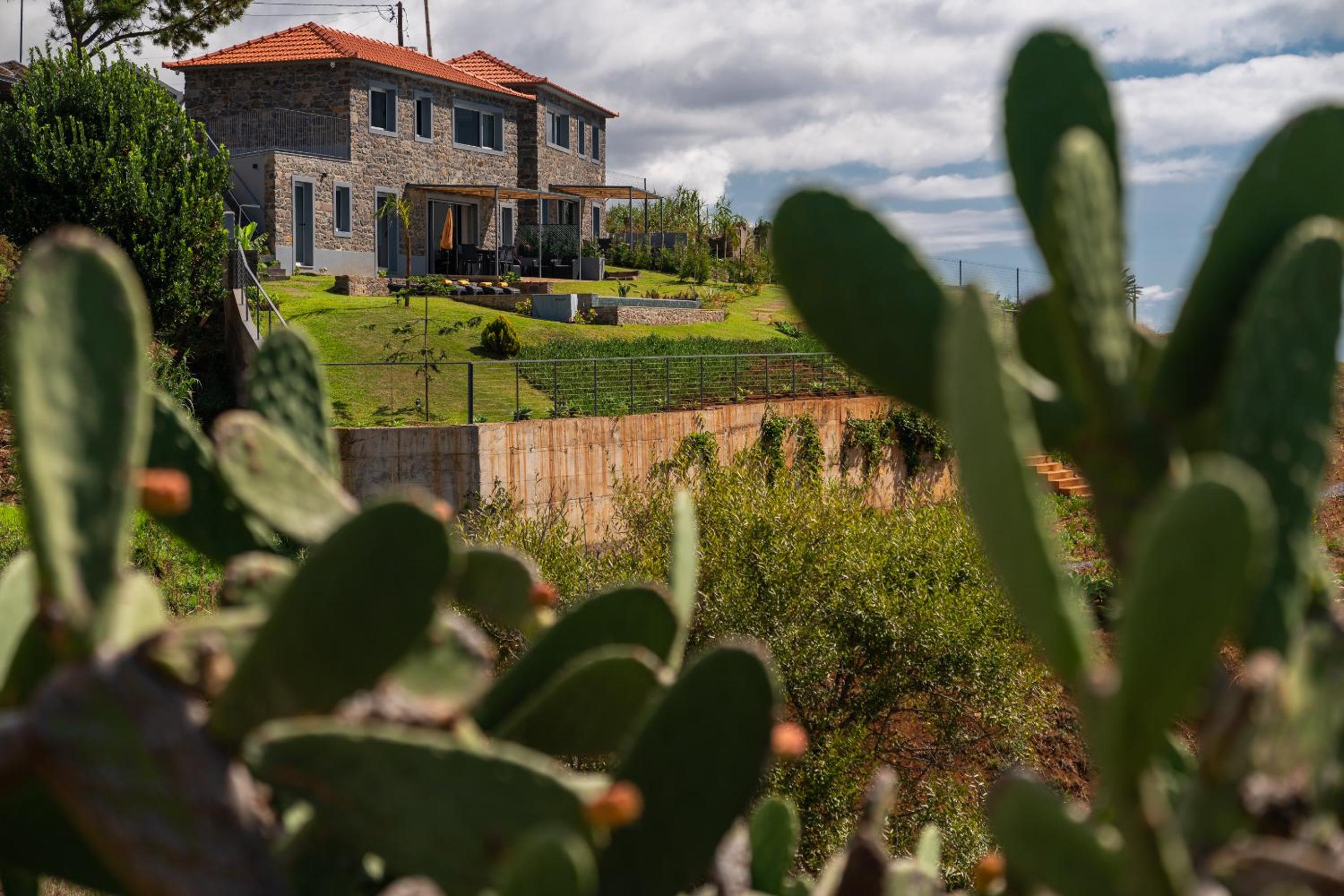 Villa Fauna Calheta Infinity Pool & Nature Views