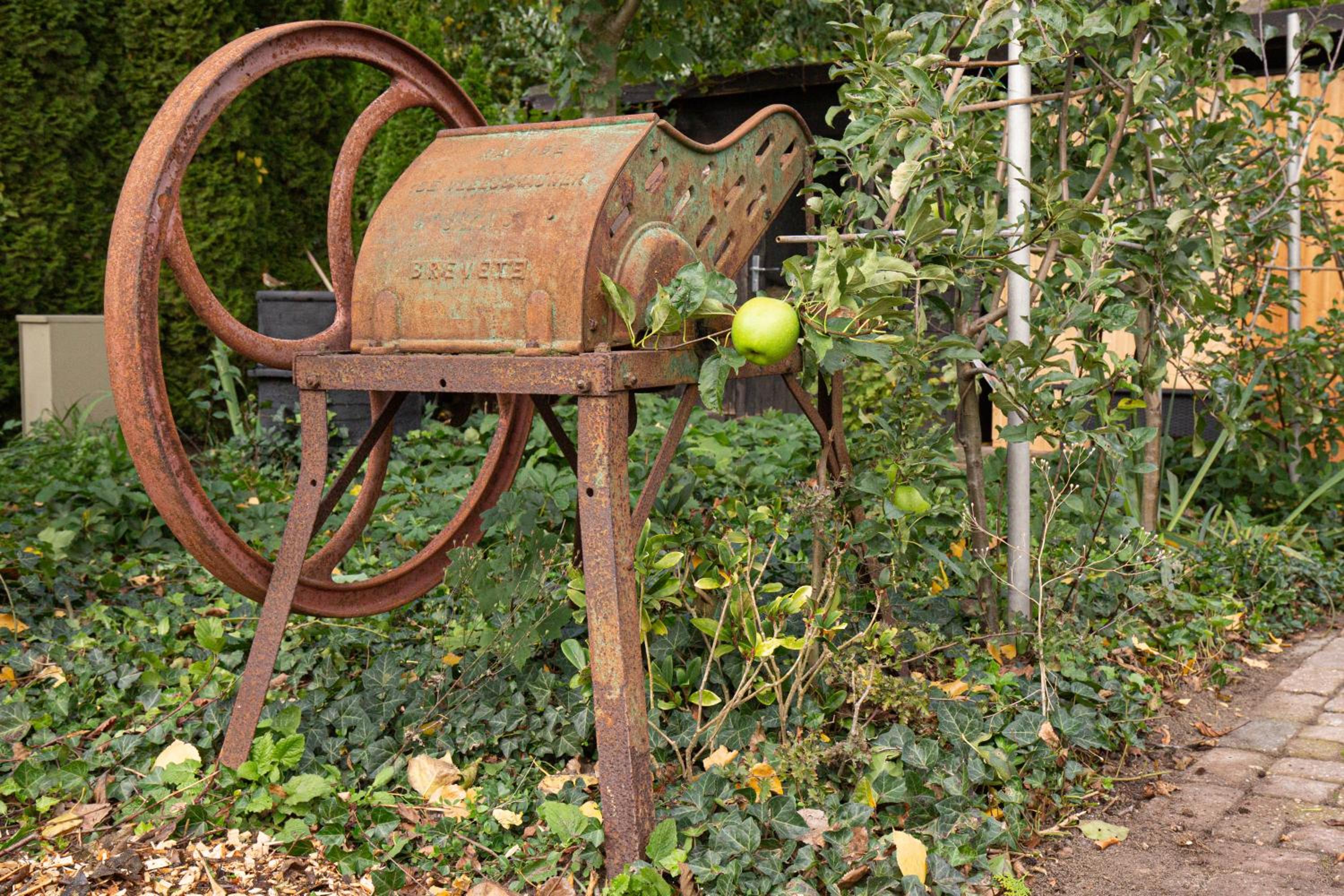 Photo 34