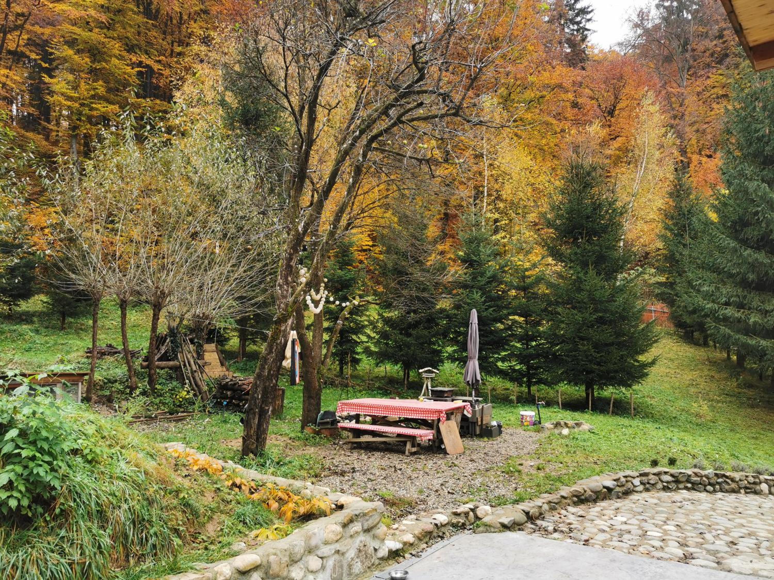 Photo 41