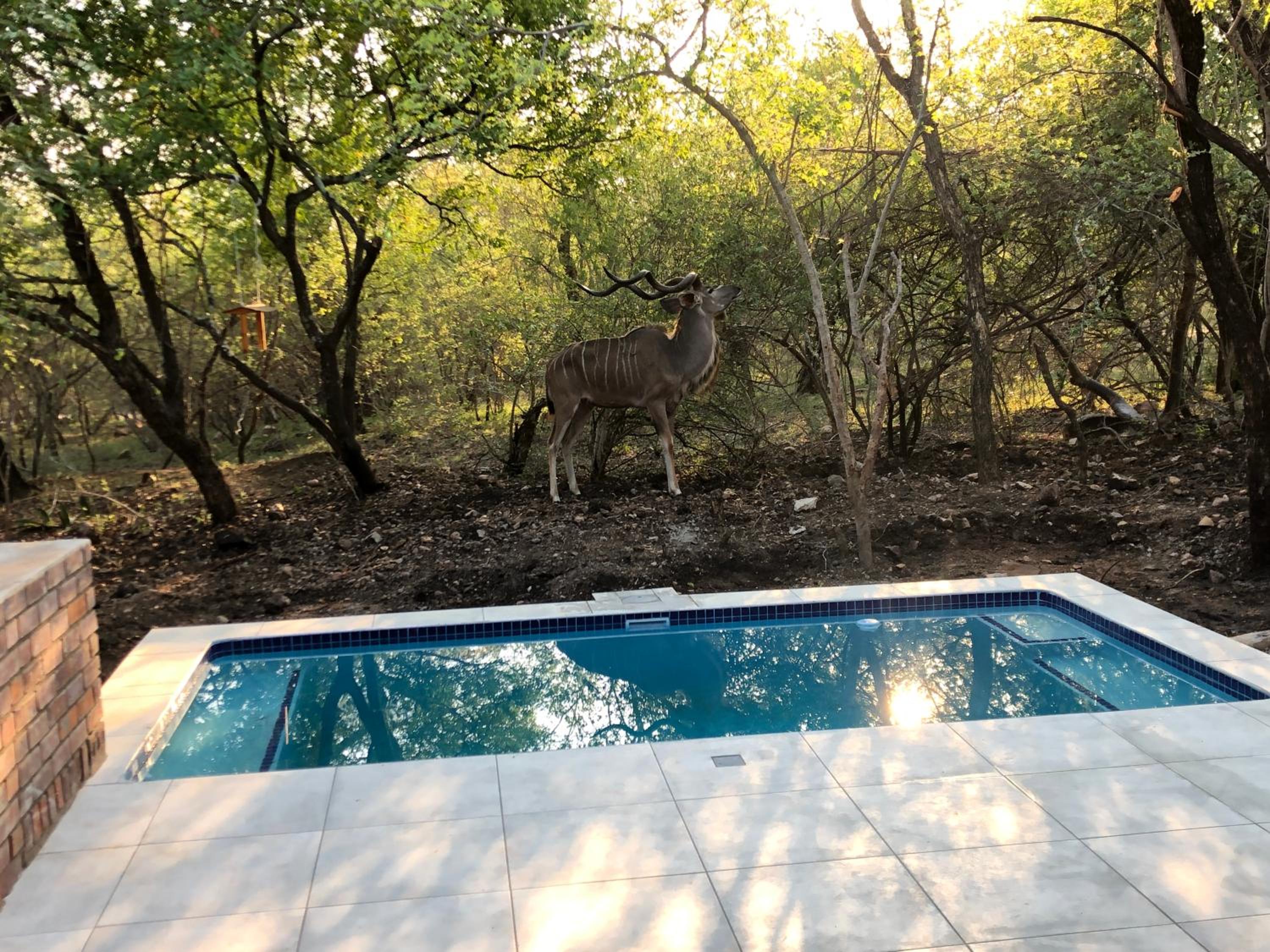 Lion Hill @Kruger view 5