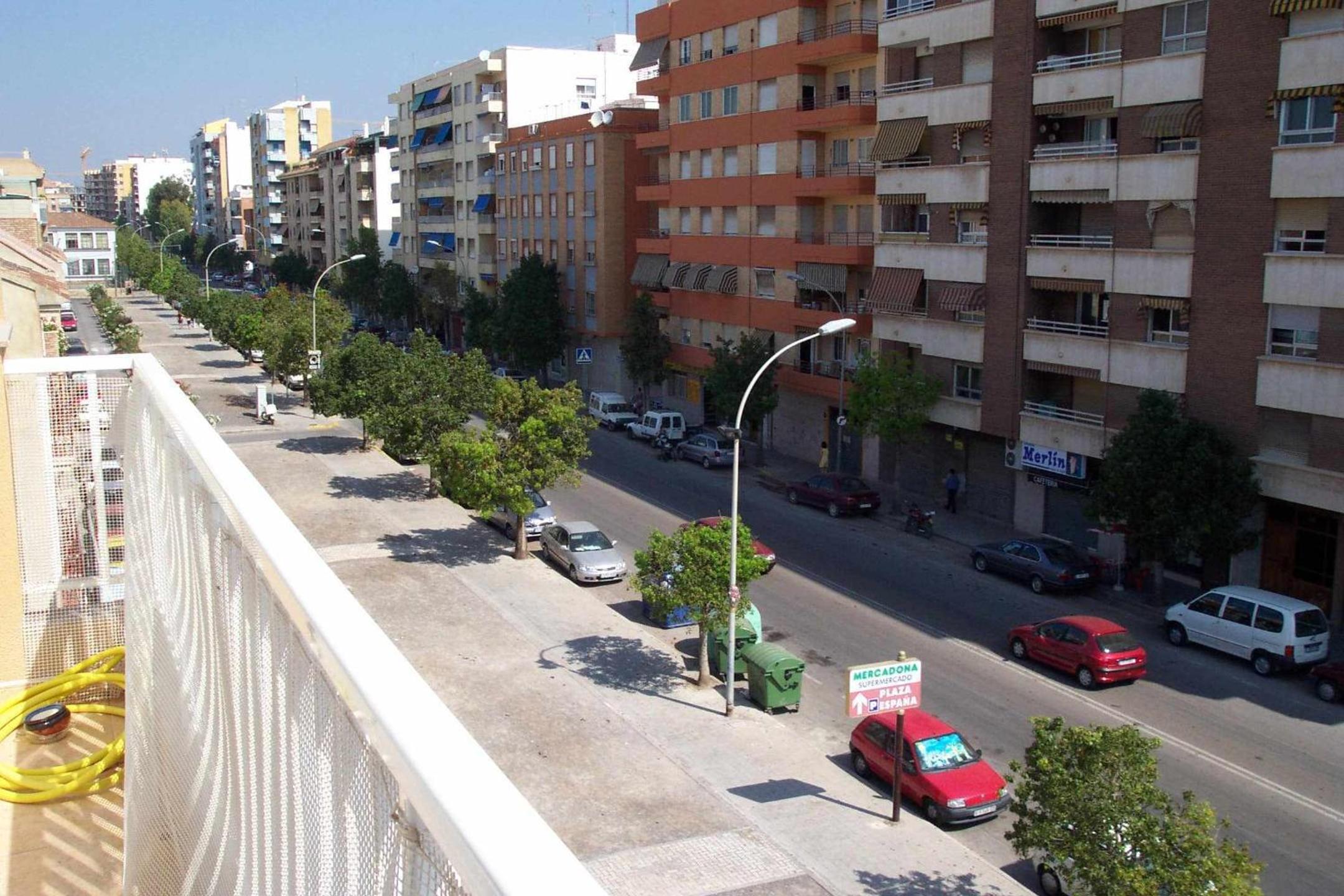 Mediterrania Pinazo