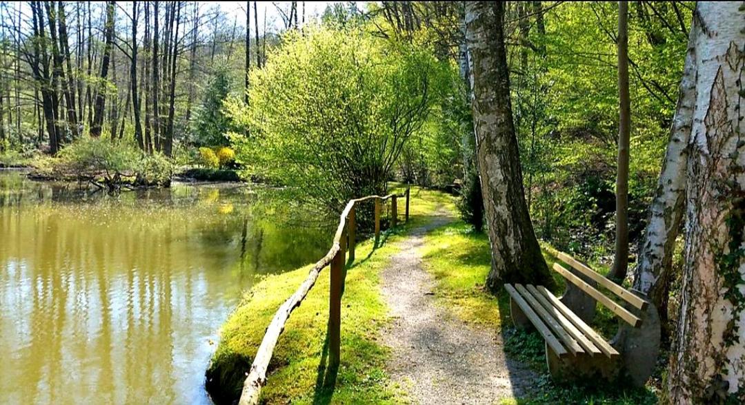 Ferienwohnung am Waldsee mit Schwimmbad