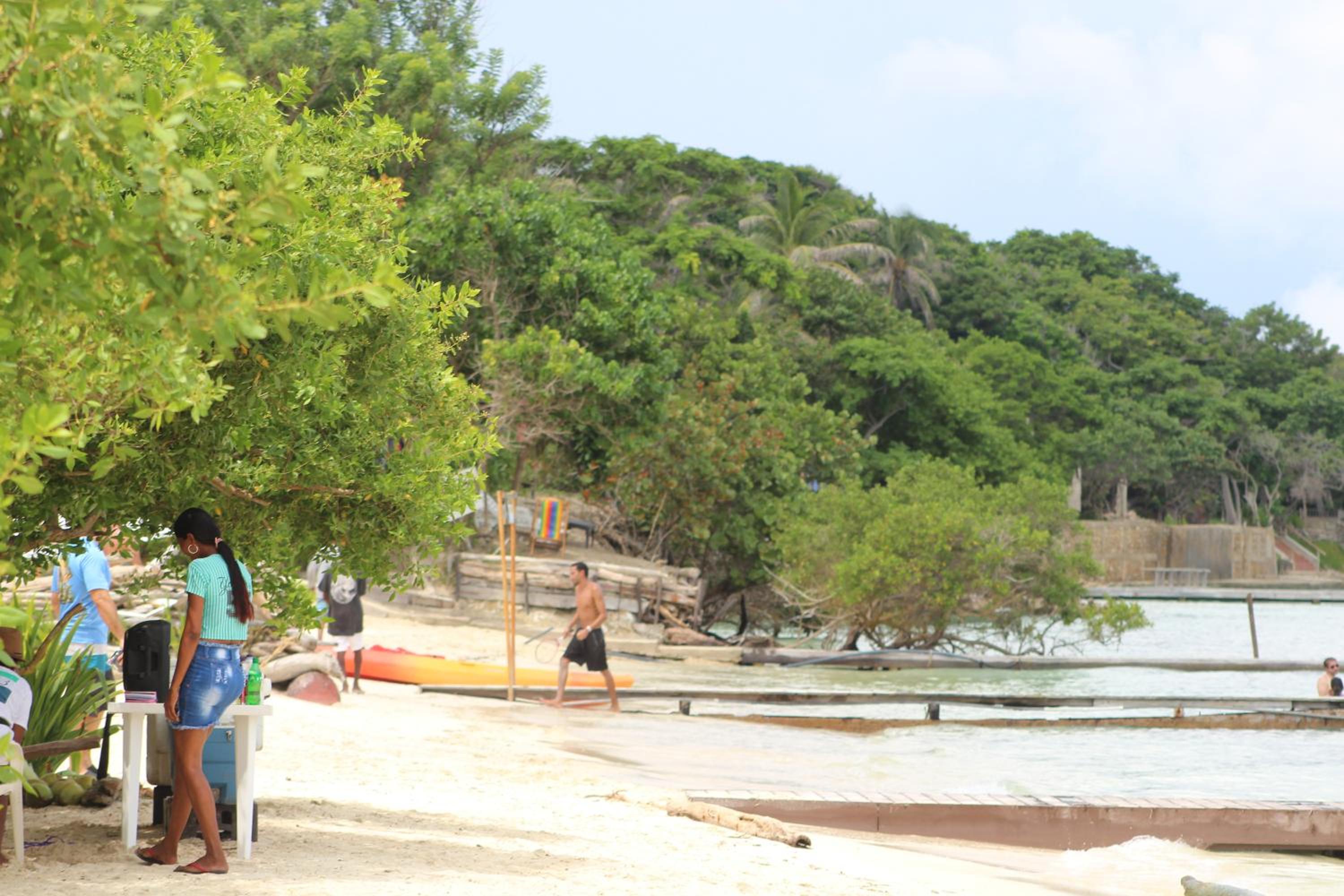 Eco Hotel Las Palmeras view 5