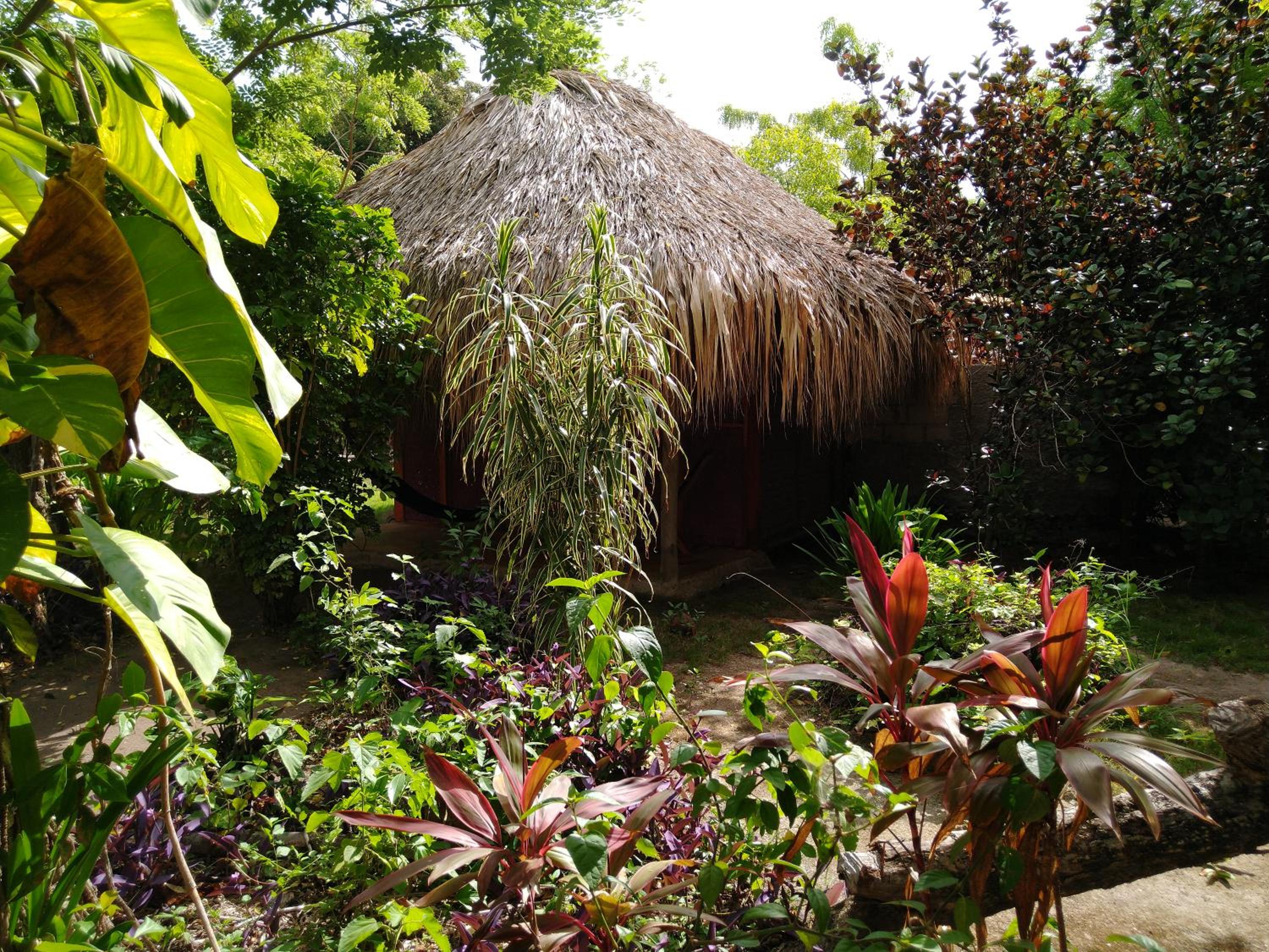 Photo 13