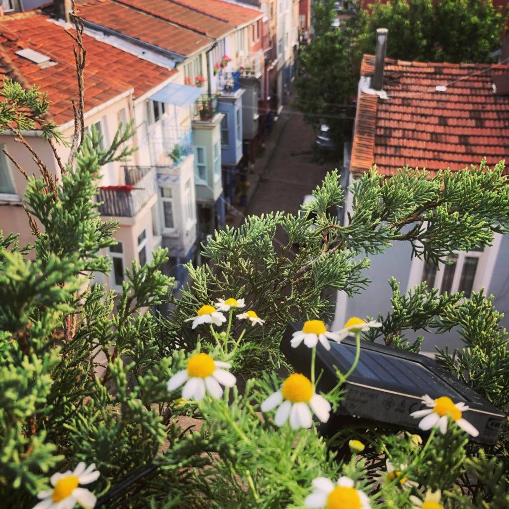 Elele Boutique Apartlar - Image 8