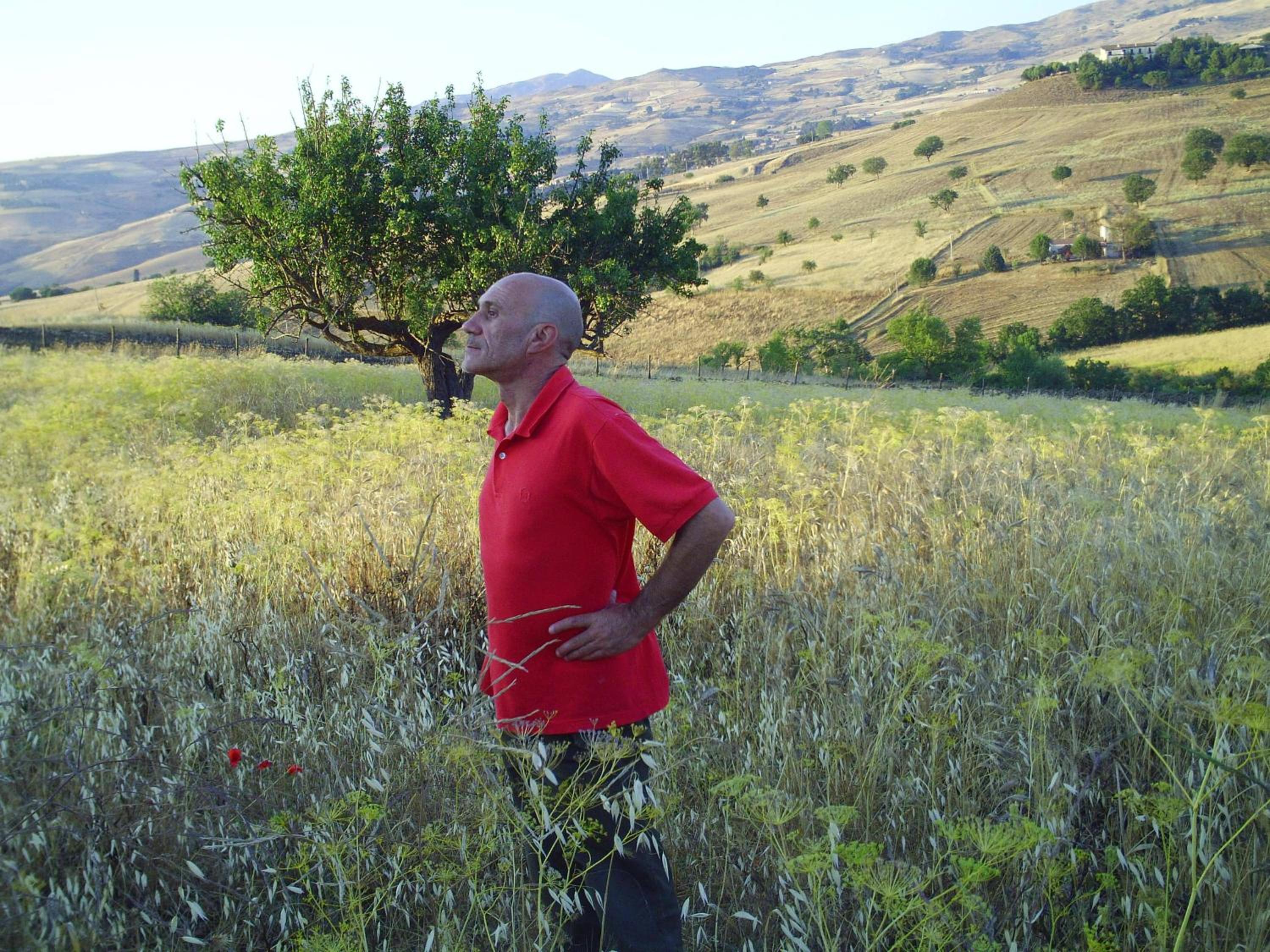 Agriturismo San Pietro