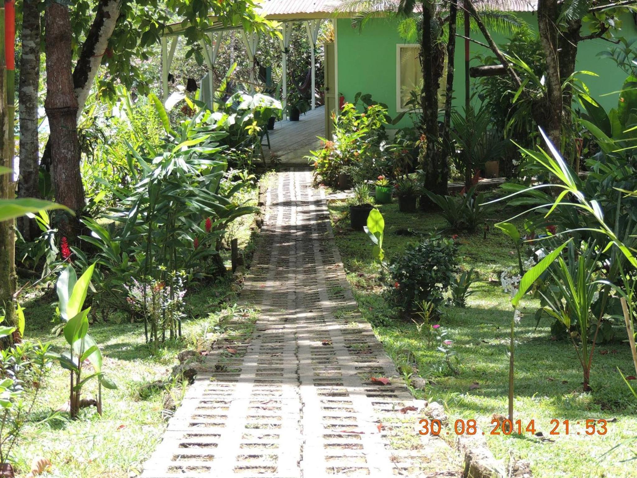 Photo 43