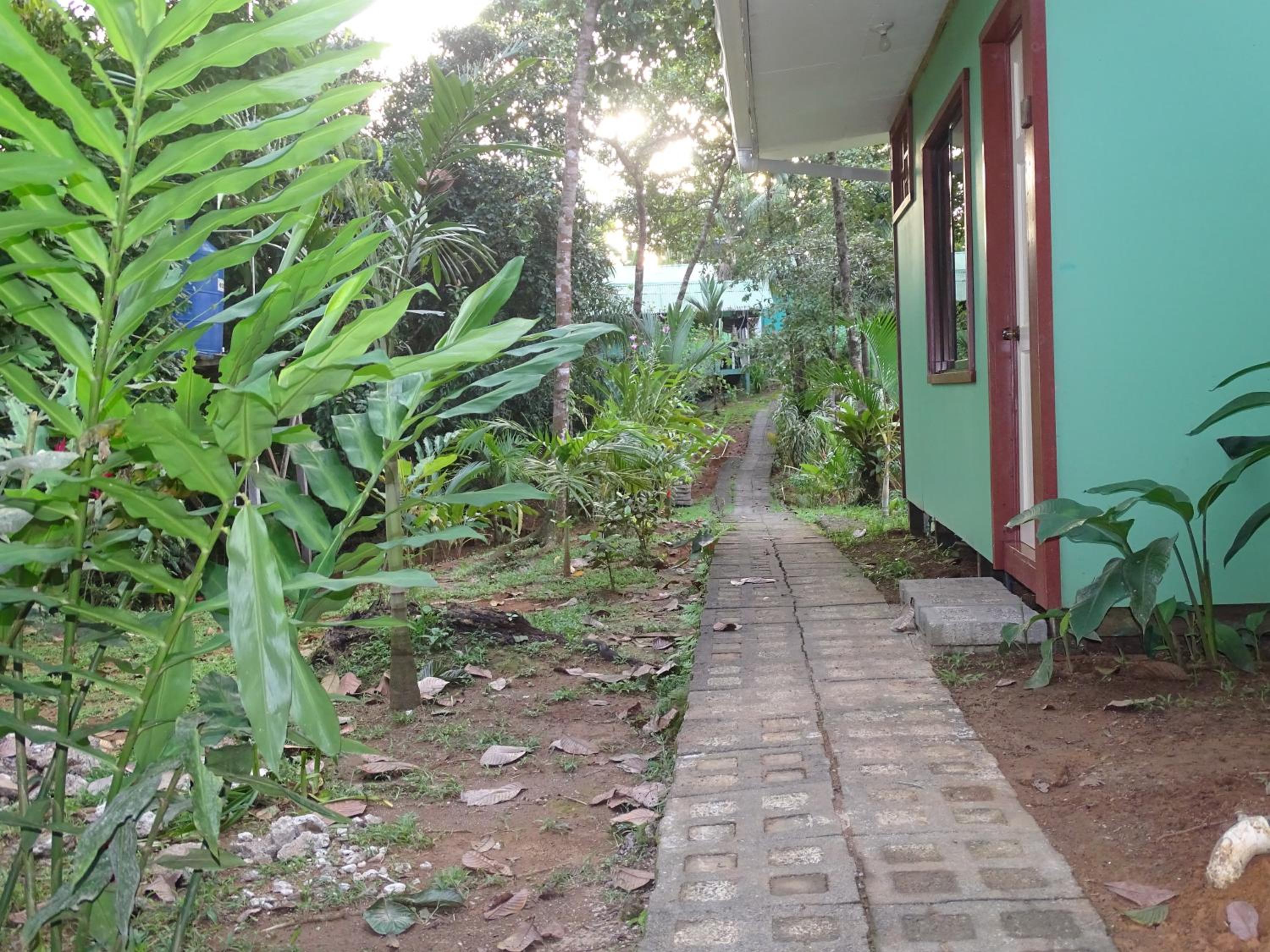 Photo 41