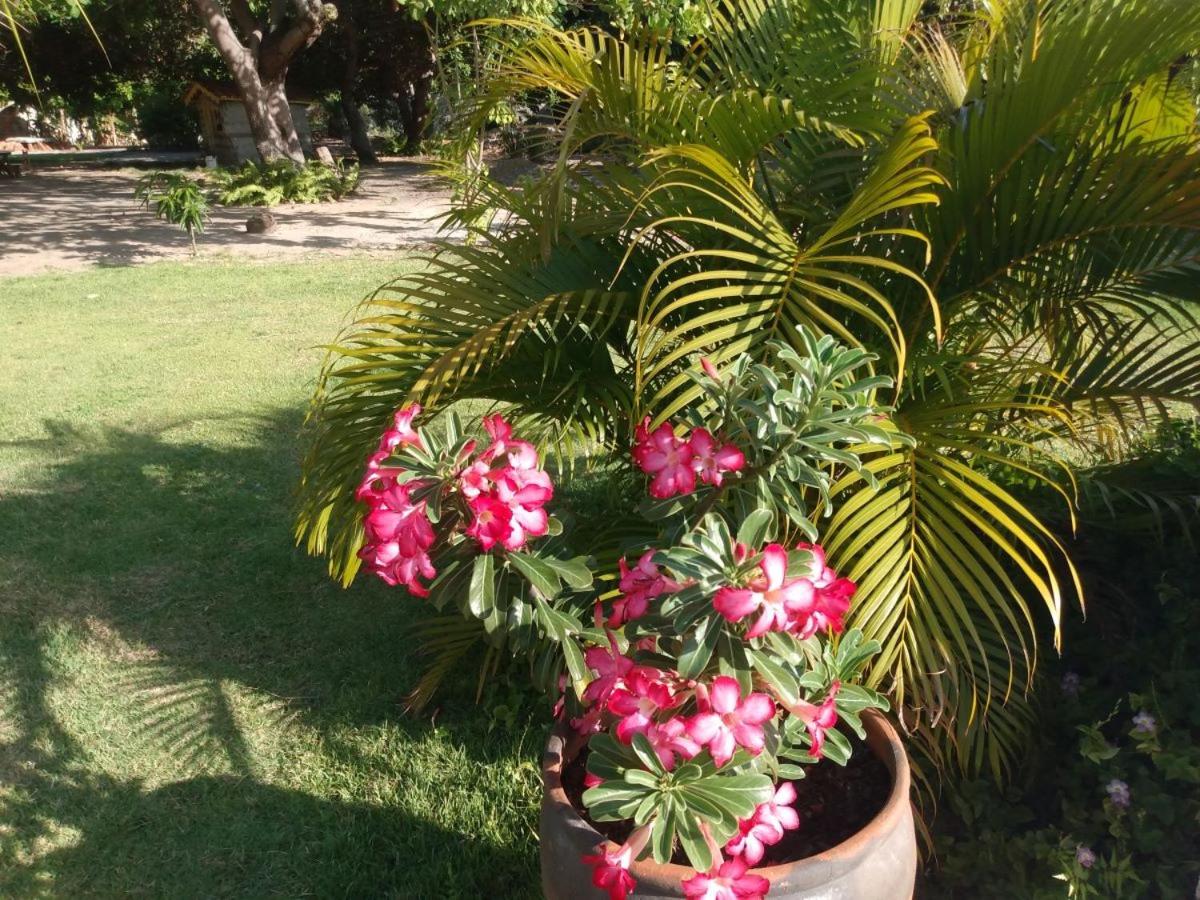 Sitio das Amélias