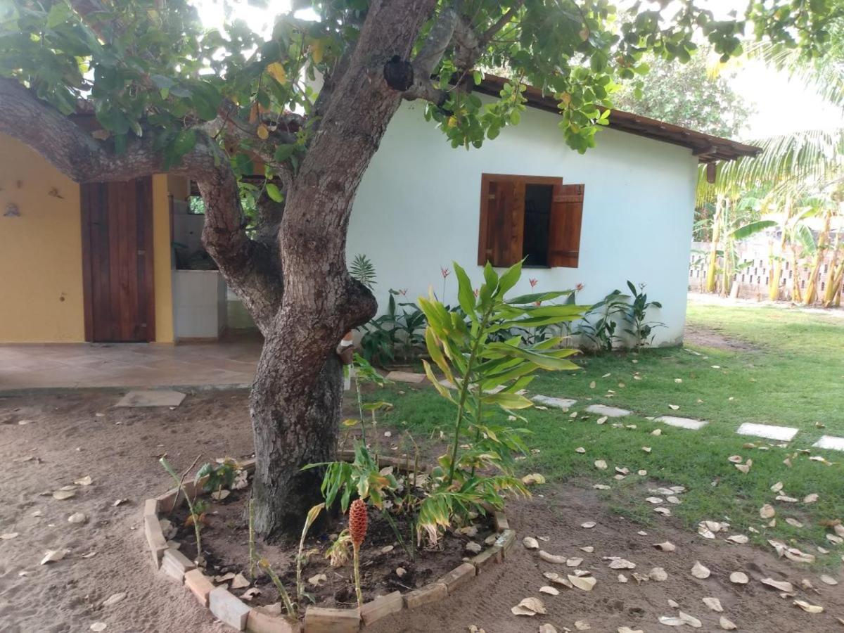 Sitio das Amélias
