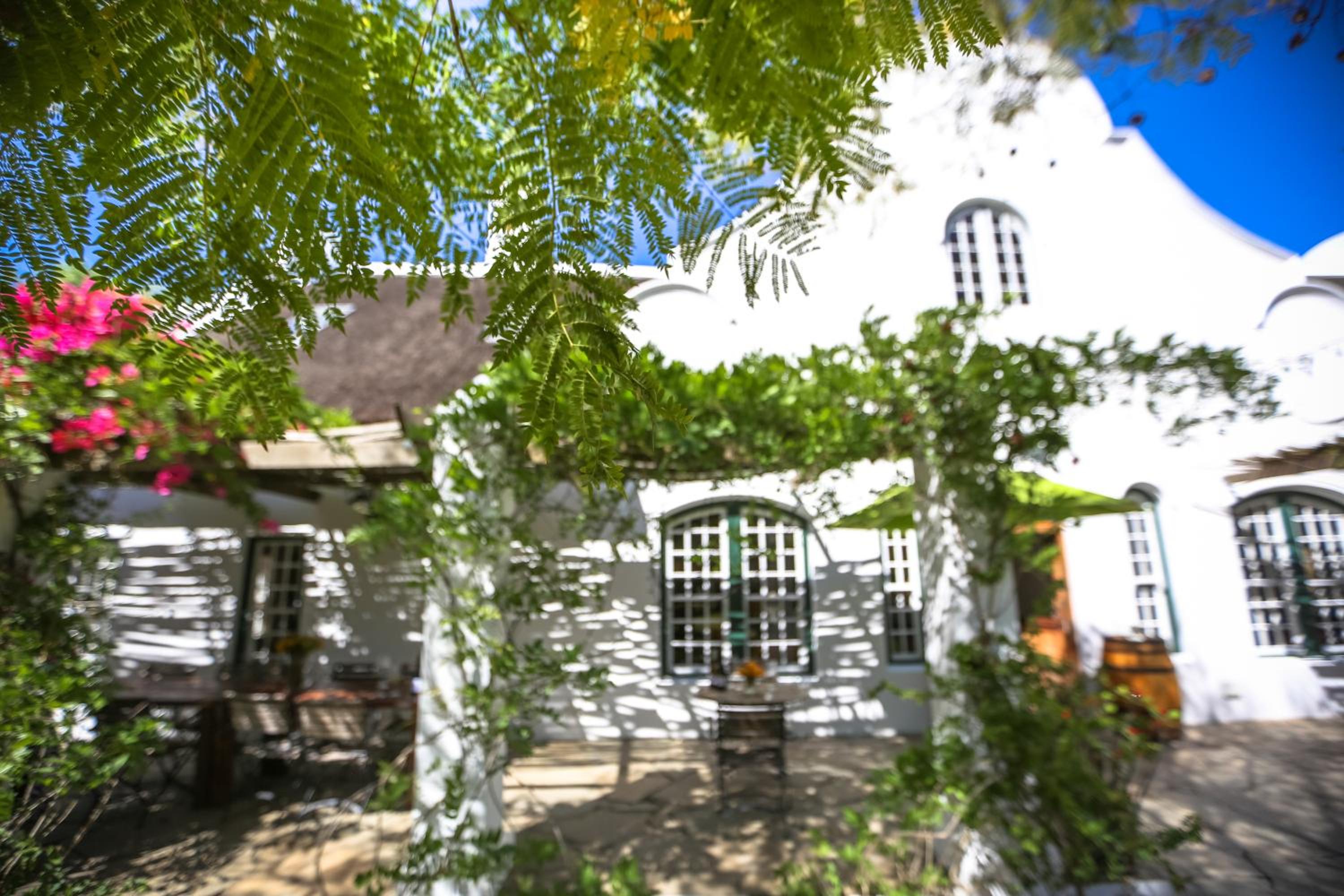 Jacaranda Wine And Guestfarm view 2
