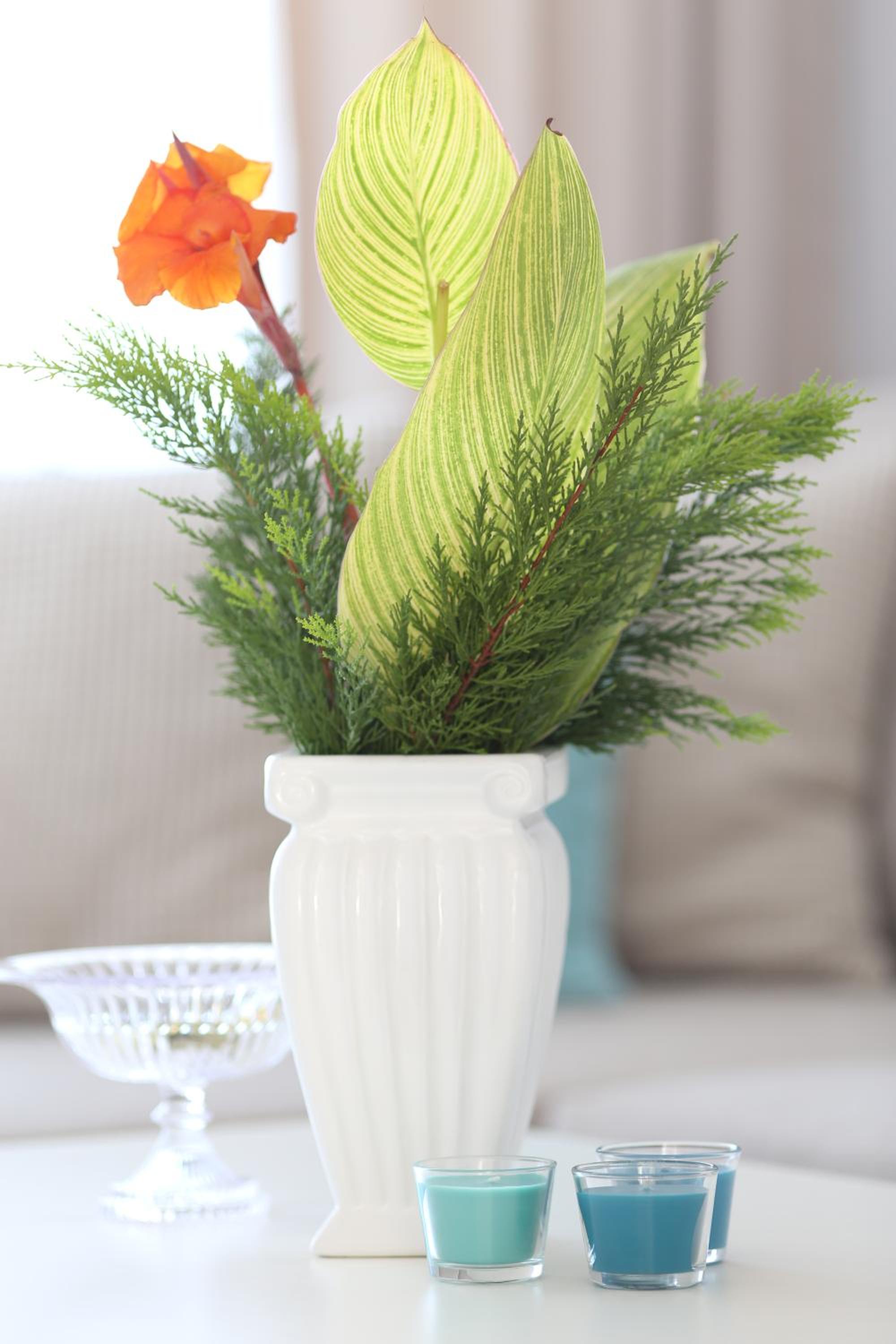 Truemar Hotels & Suites - Image 41