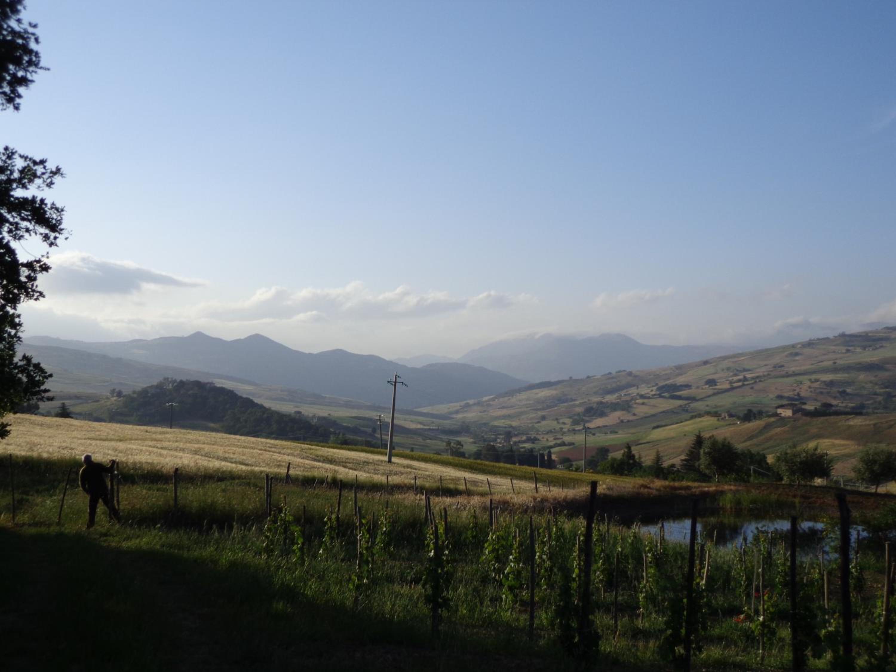 Agriturismo San Pietro
