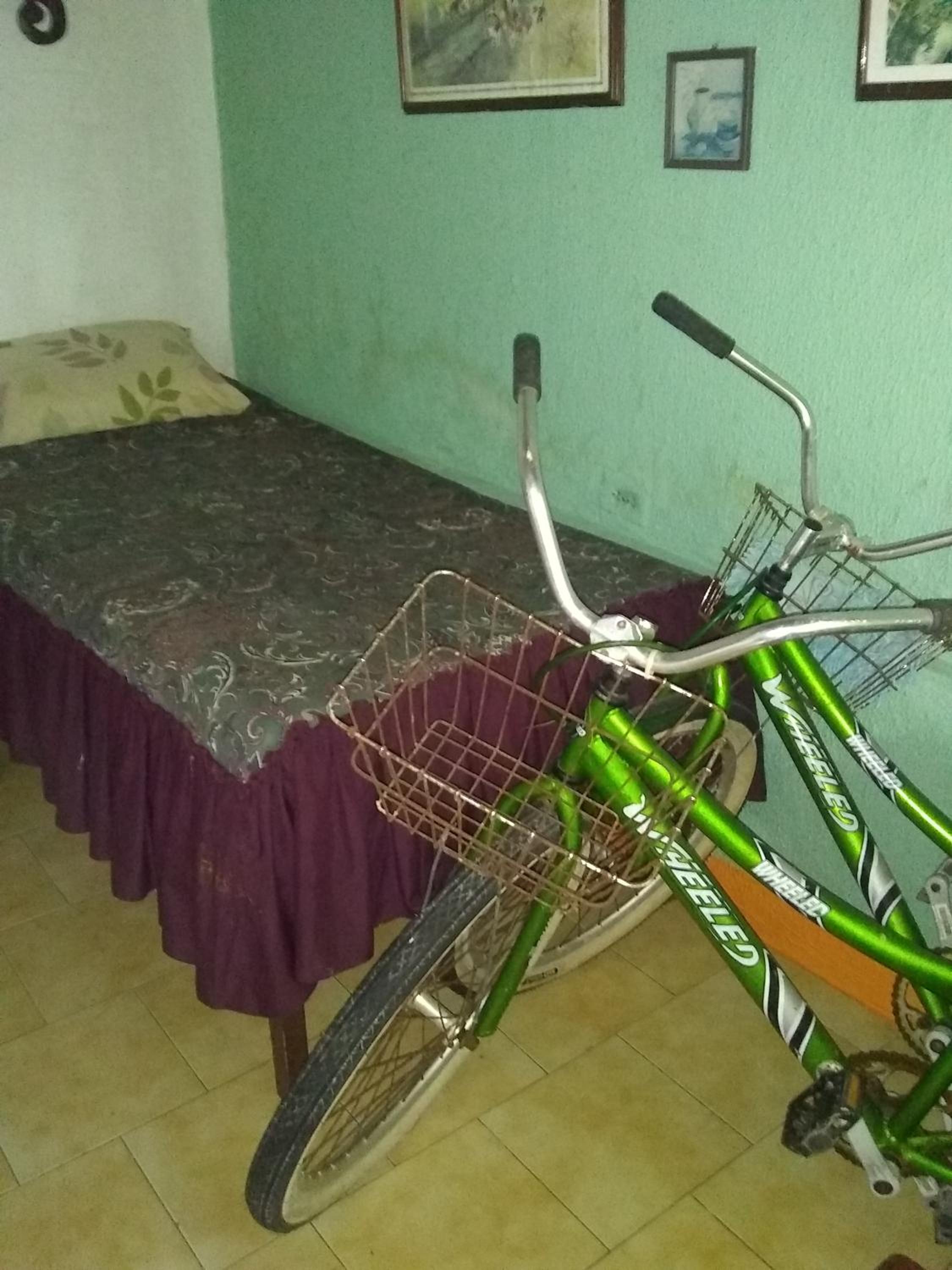Photo 19
