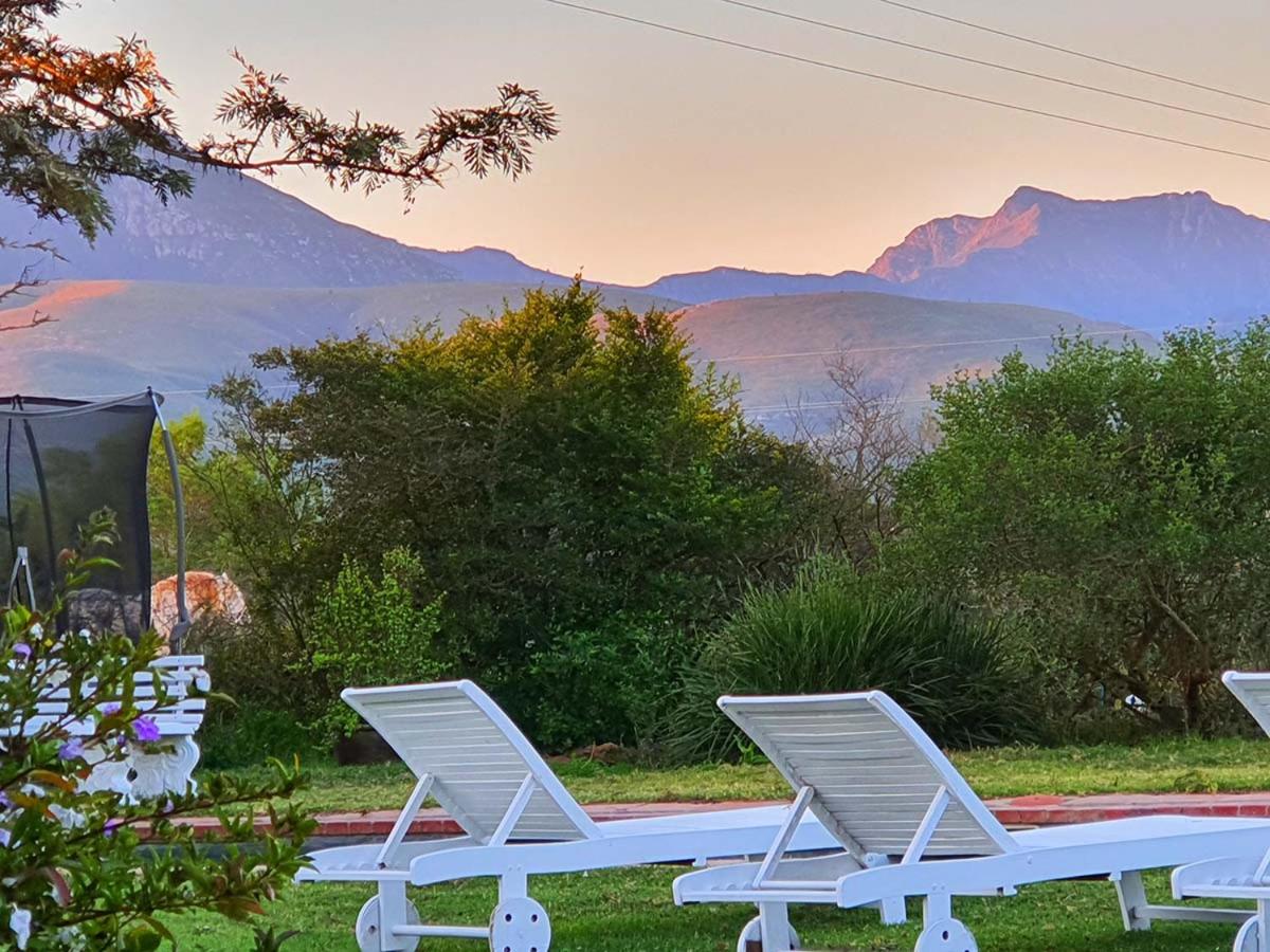 Outeniqua Moon Percheron Stud Farm