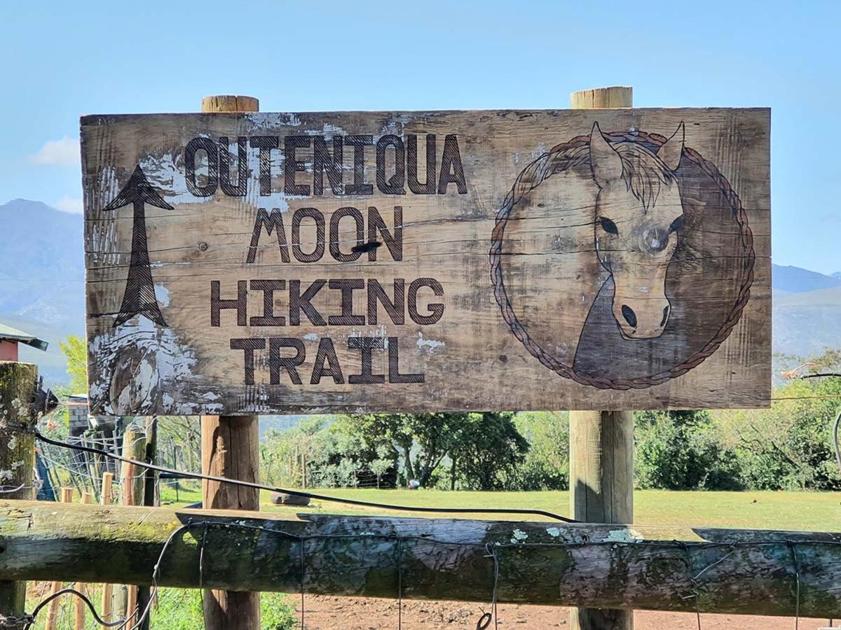 Outeniqua Moon Percheron Stud Farm