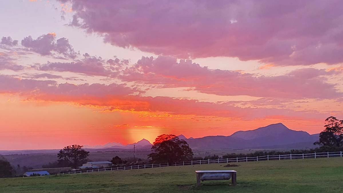 Outeniqua Moon Percheron Stud Farm