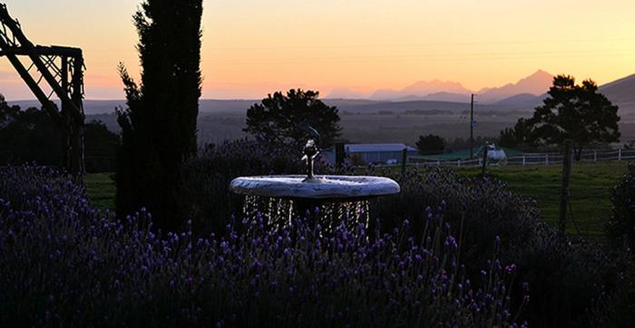 Outeniqua Moon Percheron Stud Farm