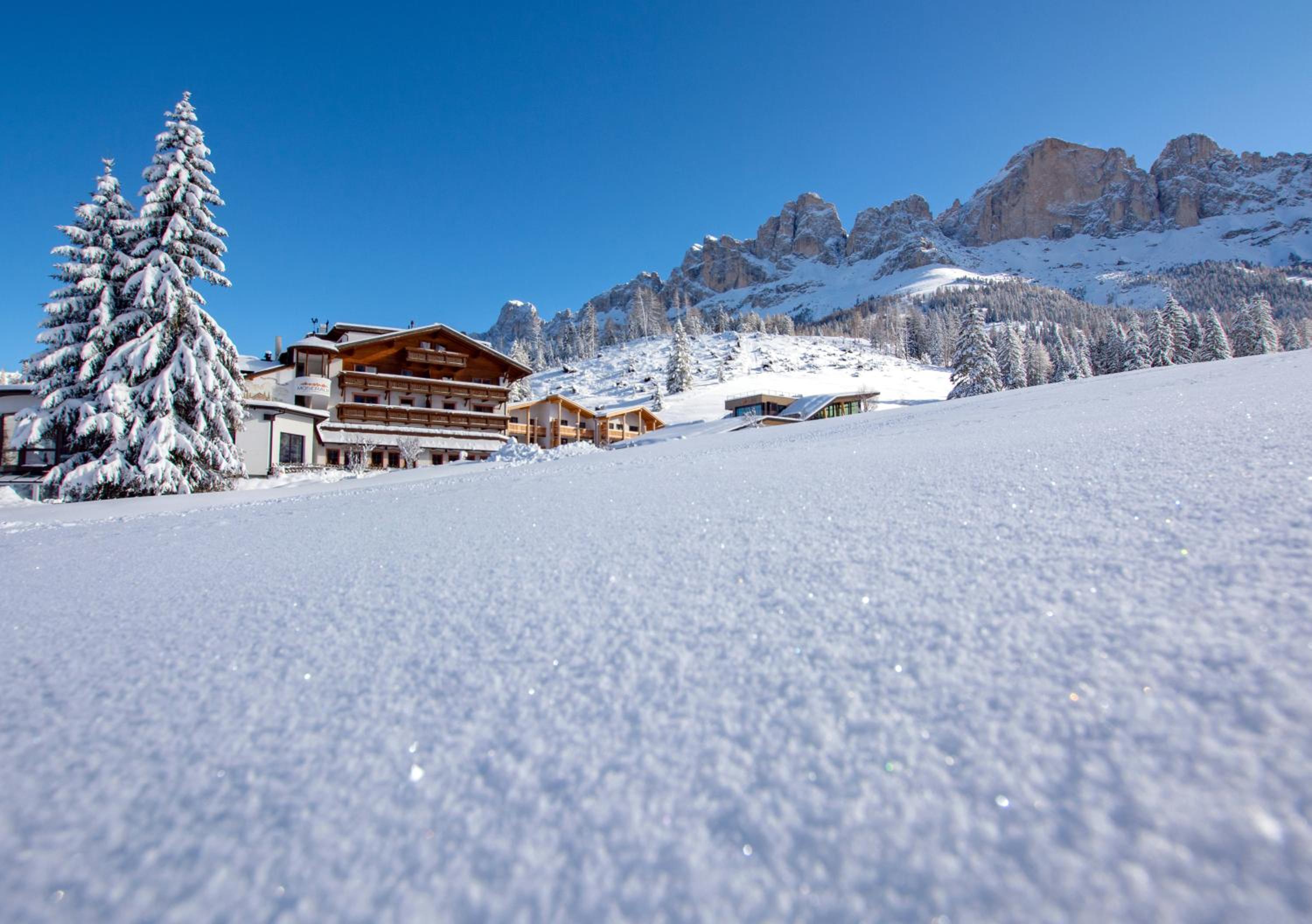 Hotel Moseralm Dolomiti Spa Resort