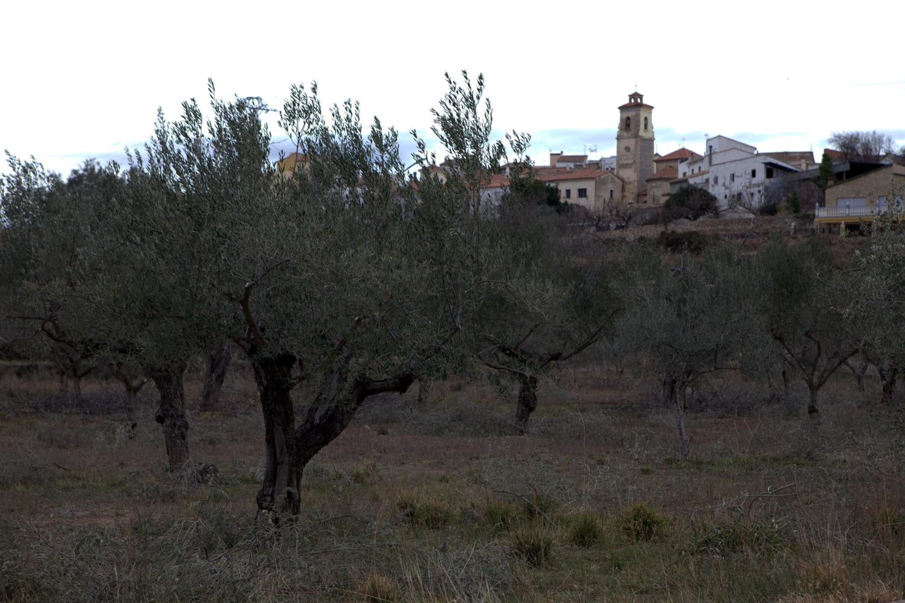 Casa Arminda