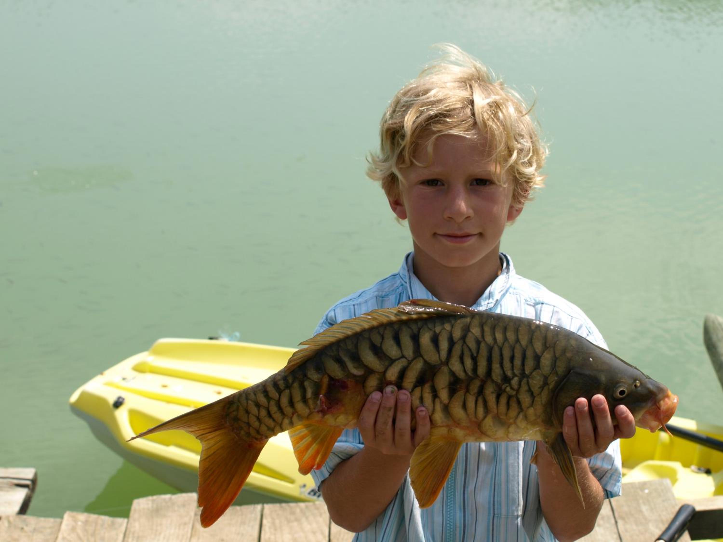 Photo 40