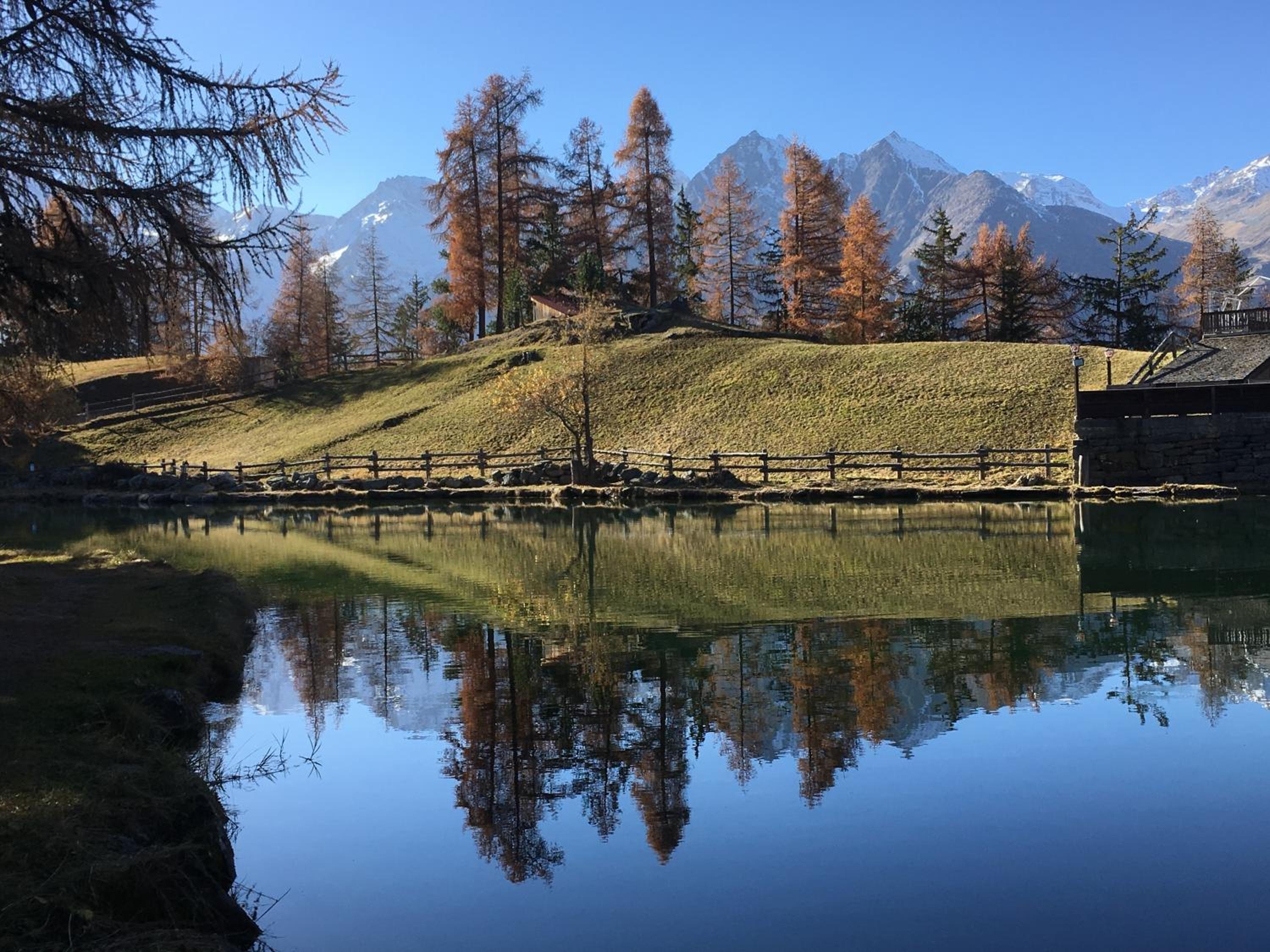 Chalet Safran
