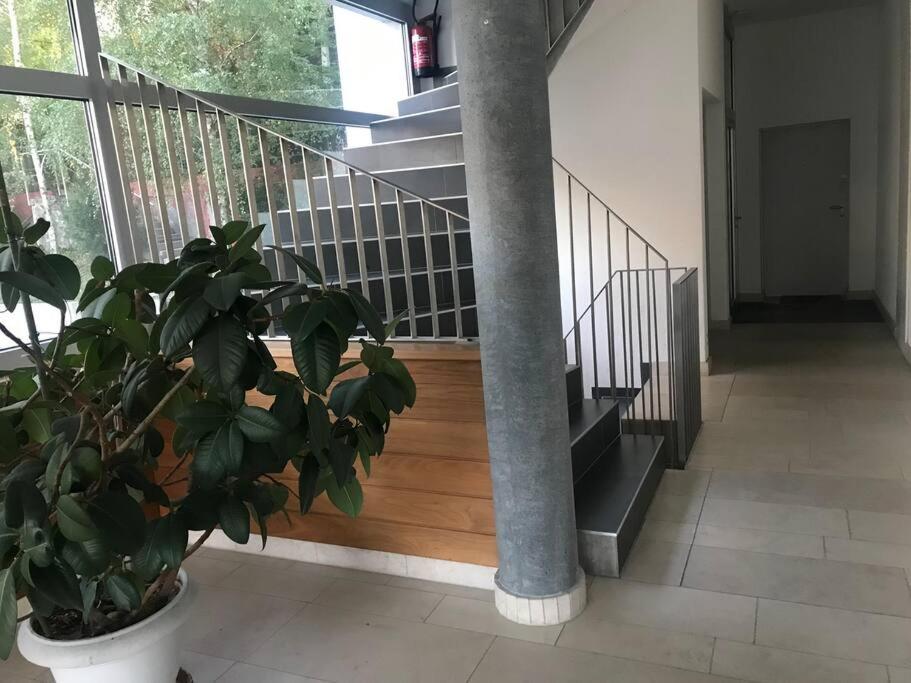Good location, spacious, comfortable and bright!!