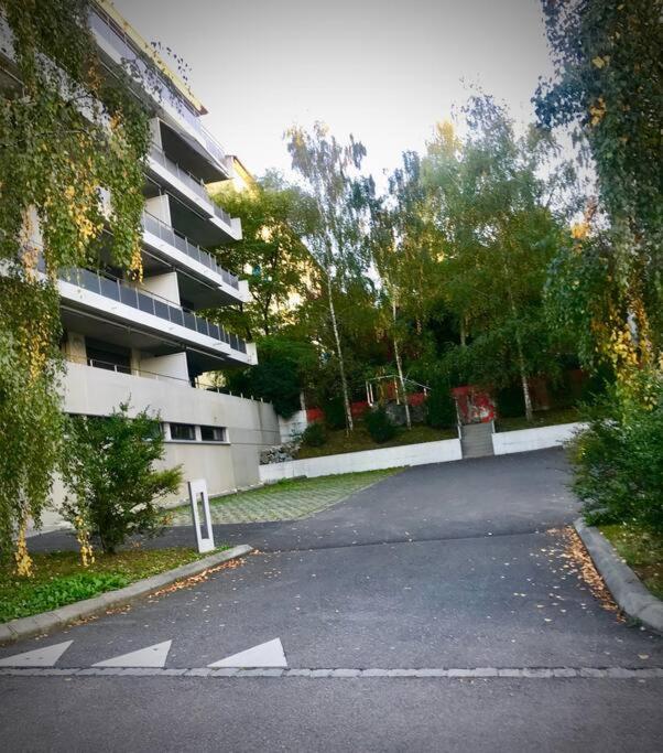 Good location, spacious, comfortable and bright!!