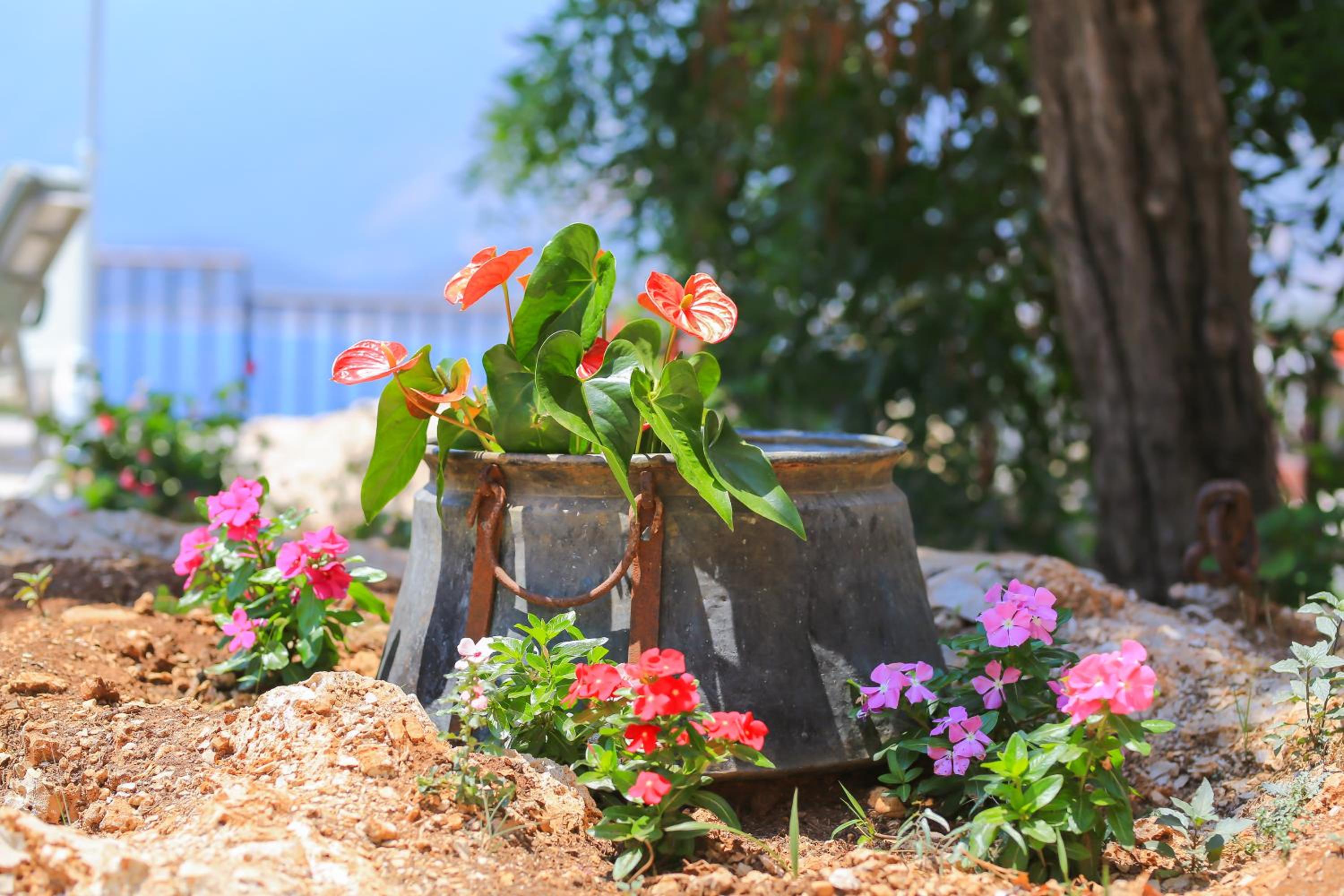 Villa Dundar - Kas Apartments - Image 59