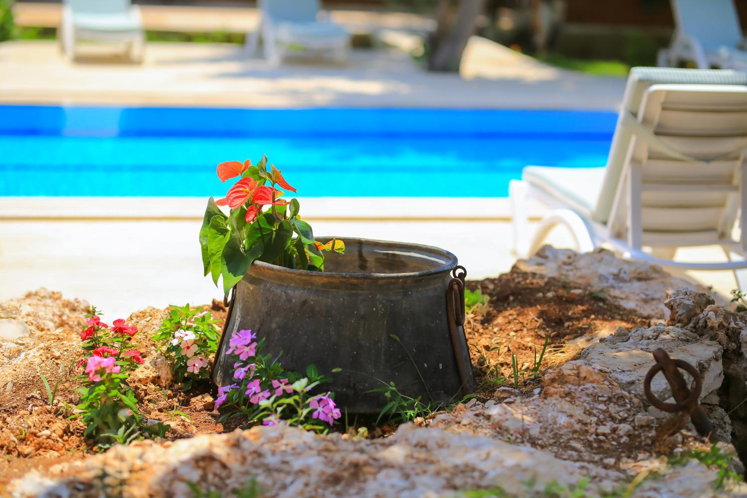 Villa Dundar - Kas Apartments - Image 38