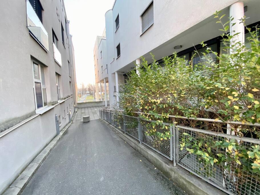 Your bright and spacious apartment by the lake