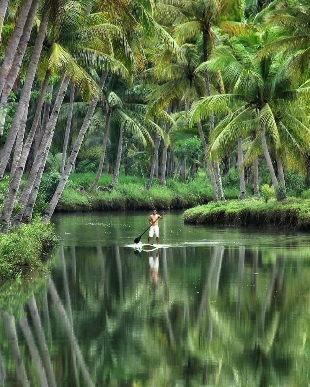 Arrys Watukarung Surfcamp, Kalak - 12