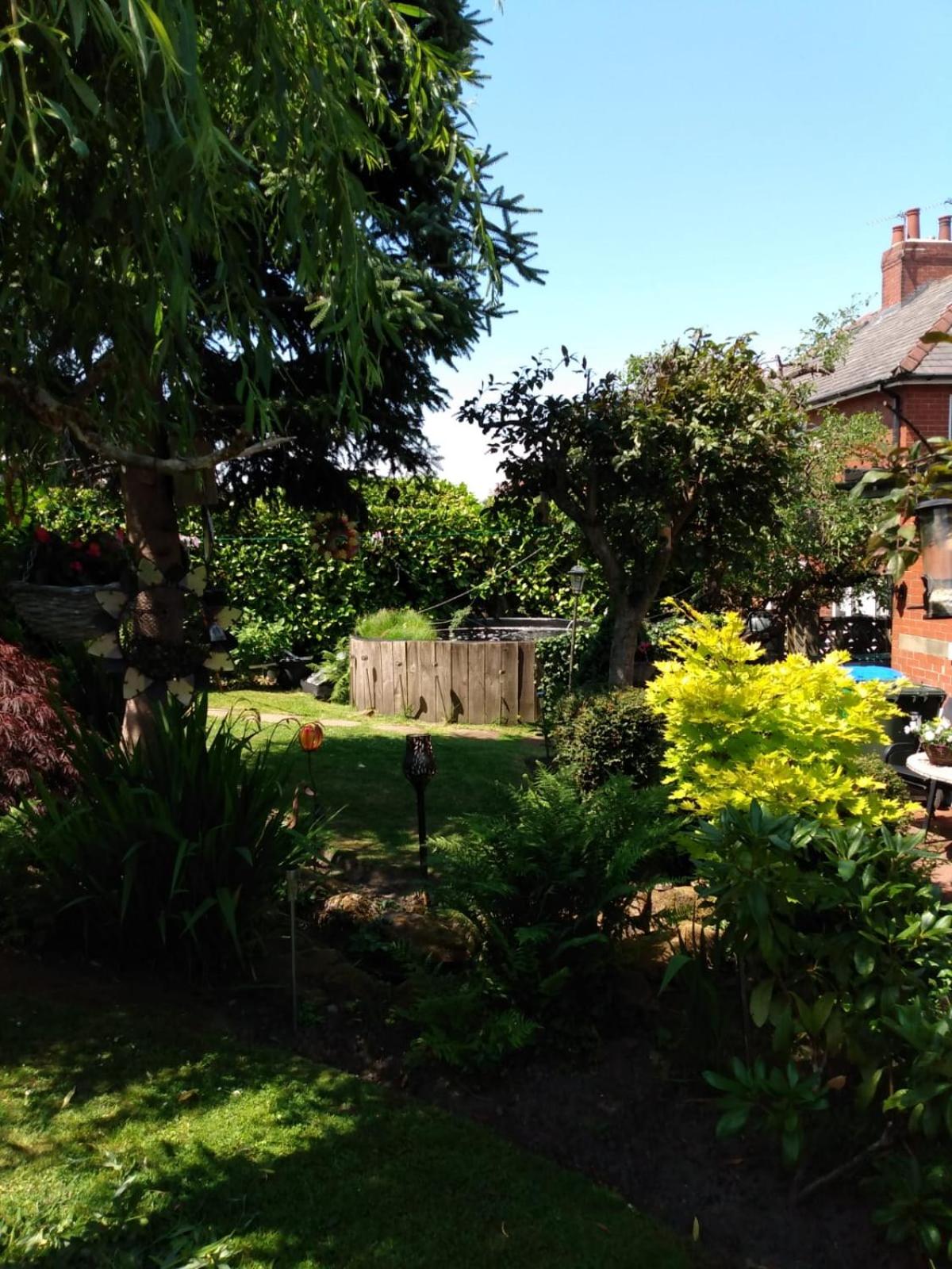Photo 23