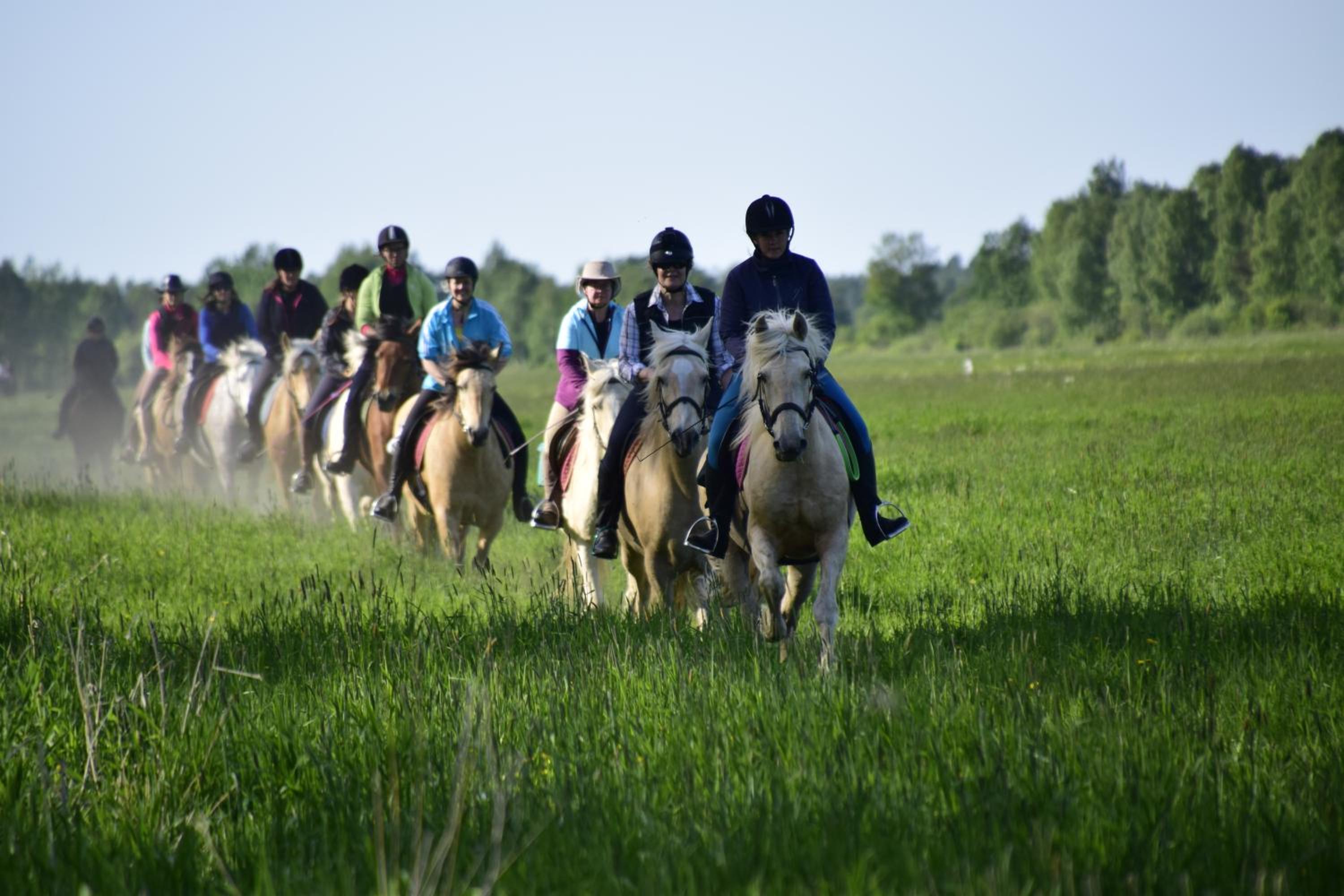 Tihuse Horsefarm B&B