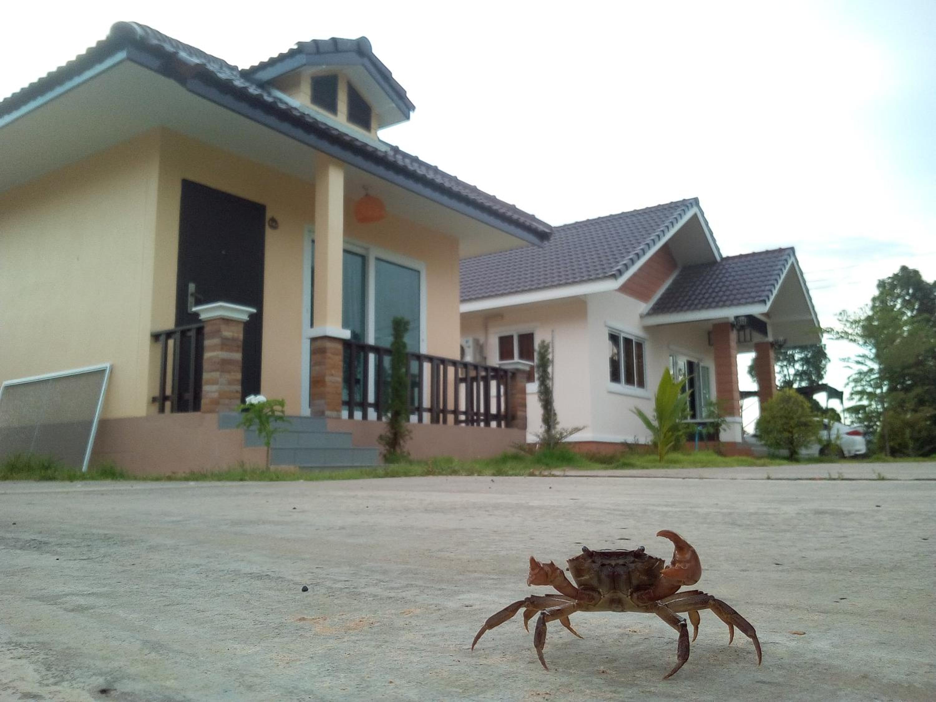 Suwi Coco Ville Resort