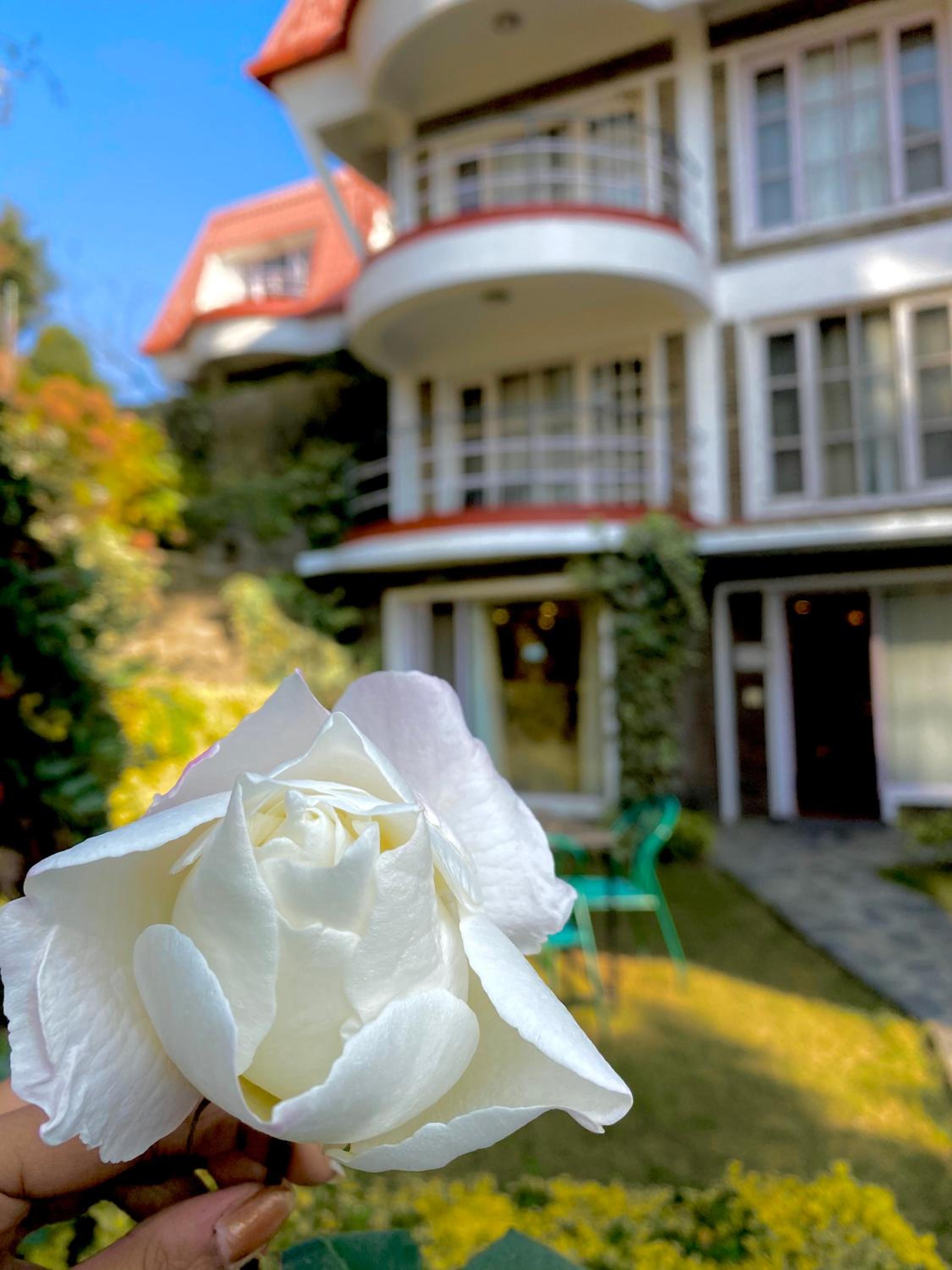Marigold Sarovar Portico Shimla with Heated pool and AC Rooms-A Resort cottage and SPA Marigold Sarovar Portico Shimla with Heated pool and AC Rooms-A Resort cottage and SPA