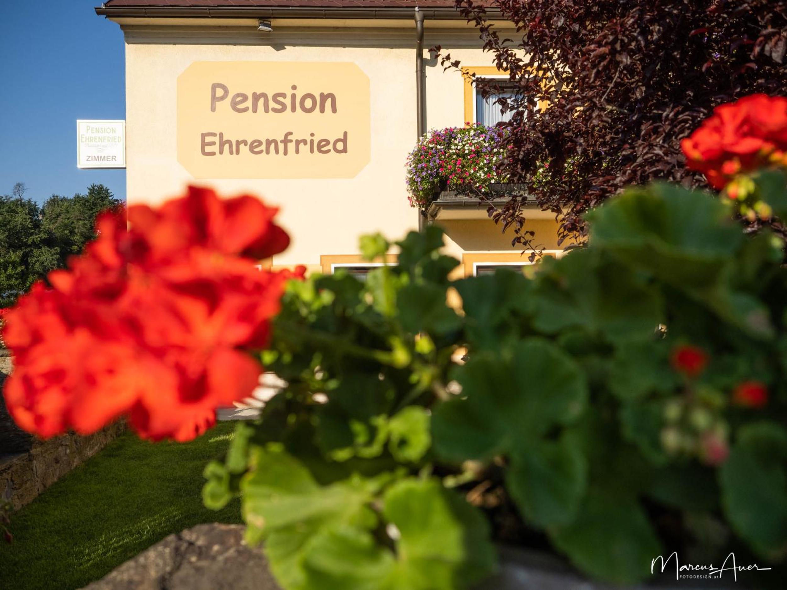 Pension Ehrenfried - Hotel garni