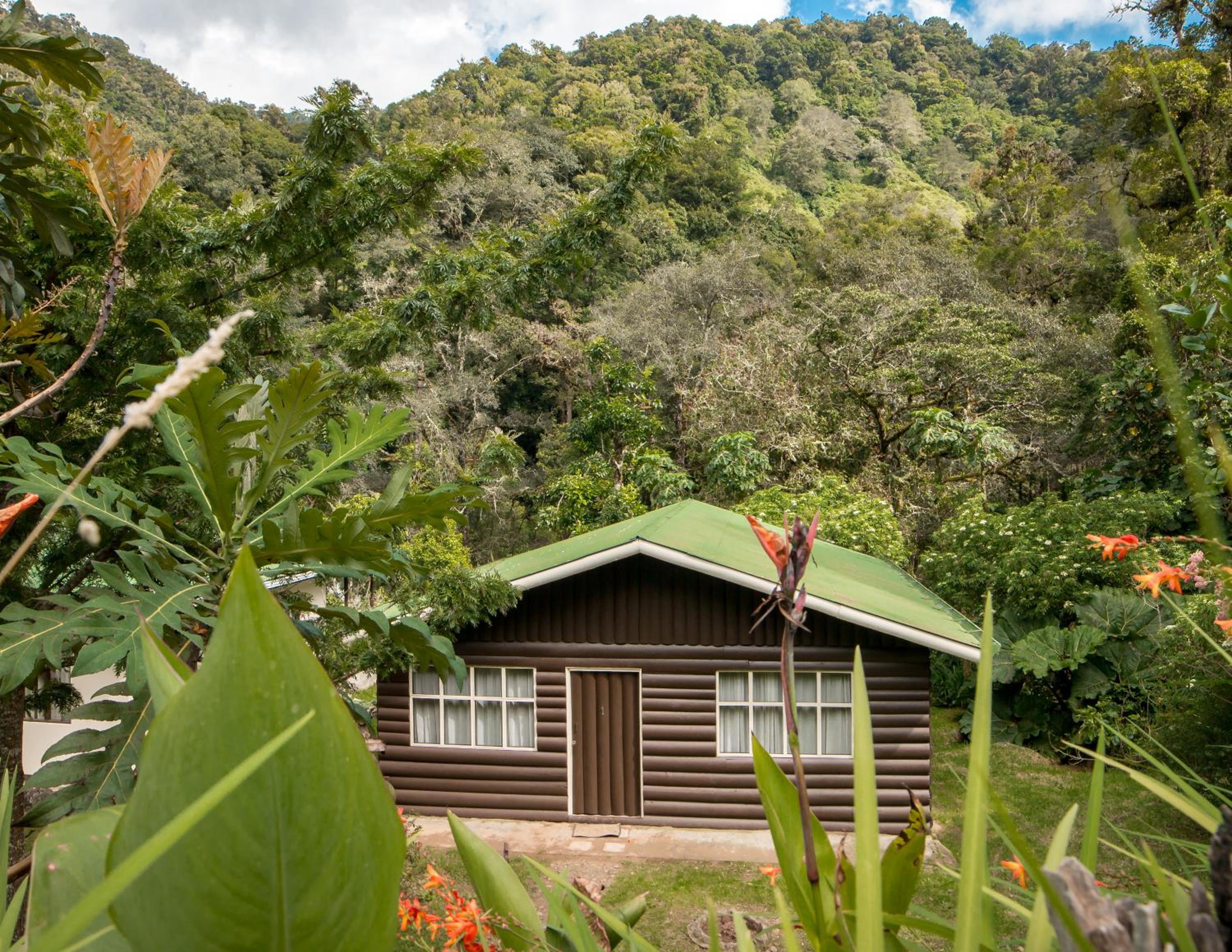 Cabinas El Quetzal view 2