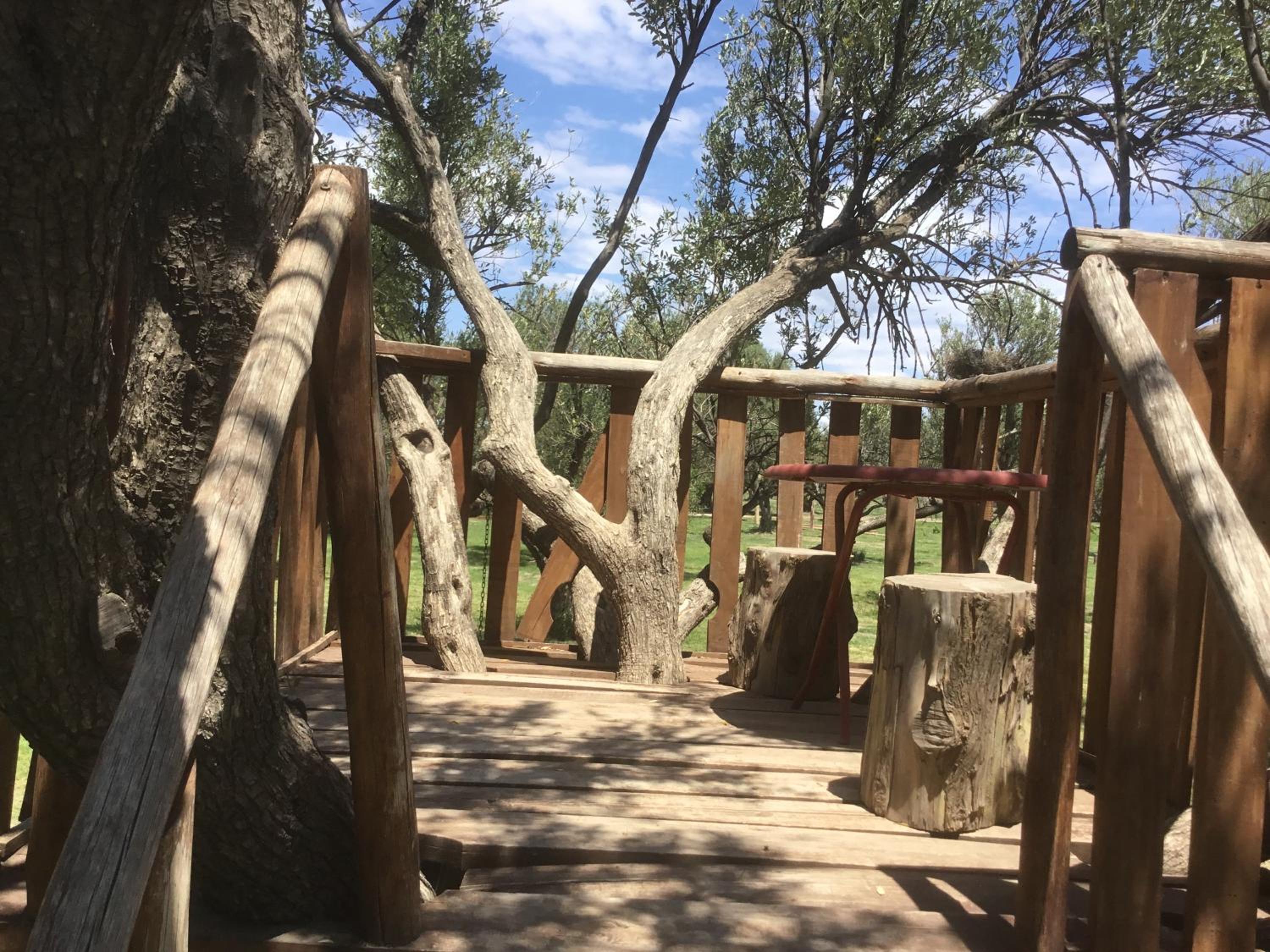 Tree House Hostel