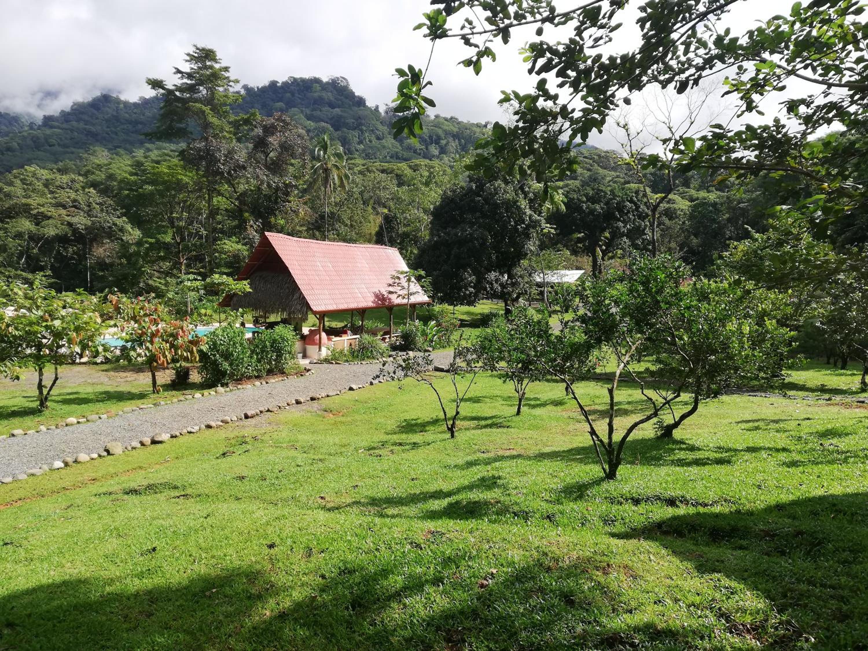 Hacienda Mil Bellezas - Private 40ha Jungle Reserve