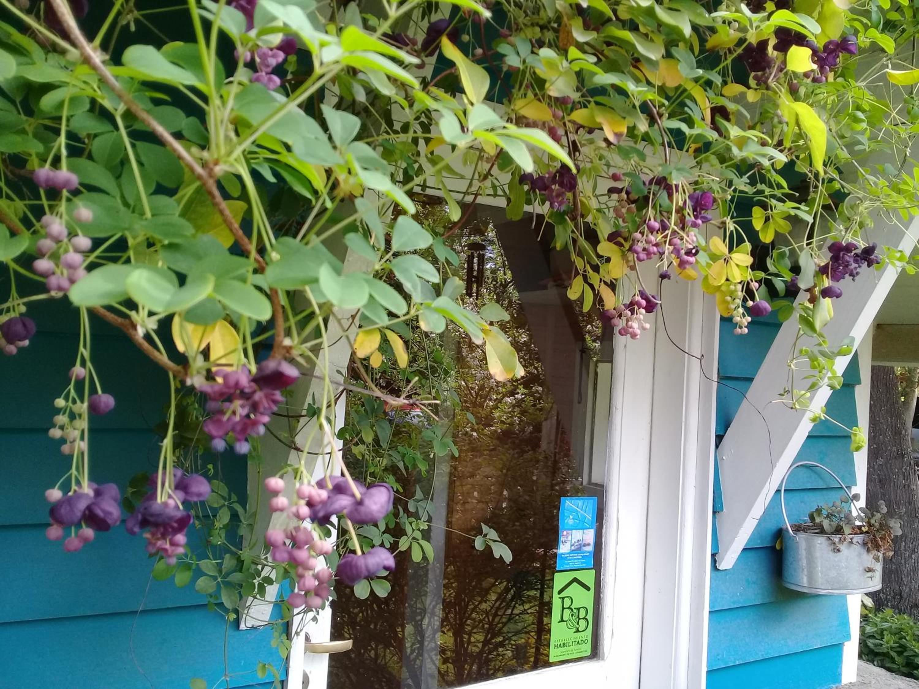 Dodo House Bed & Breakfast