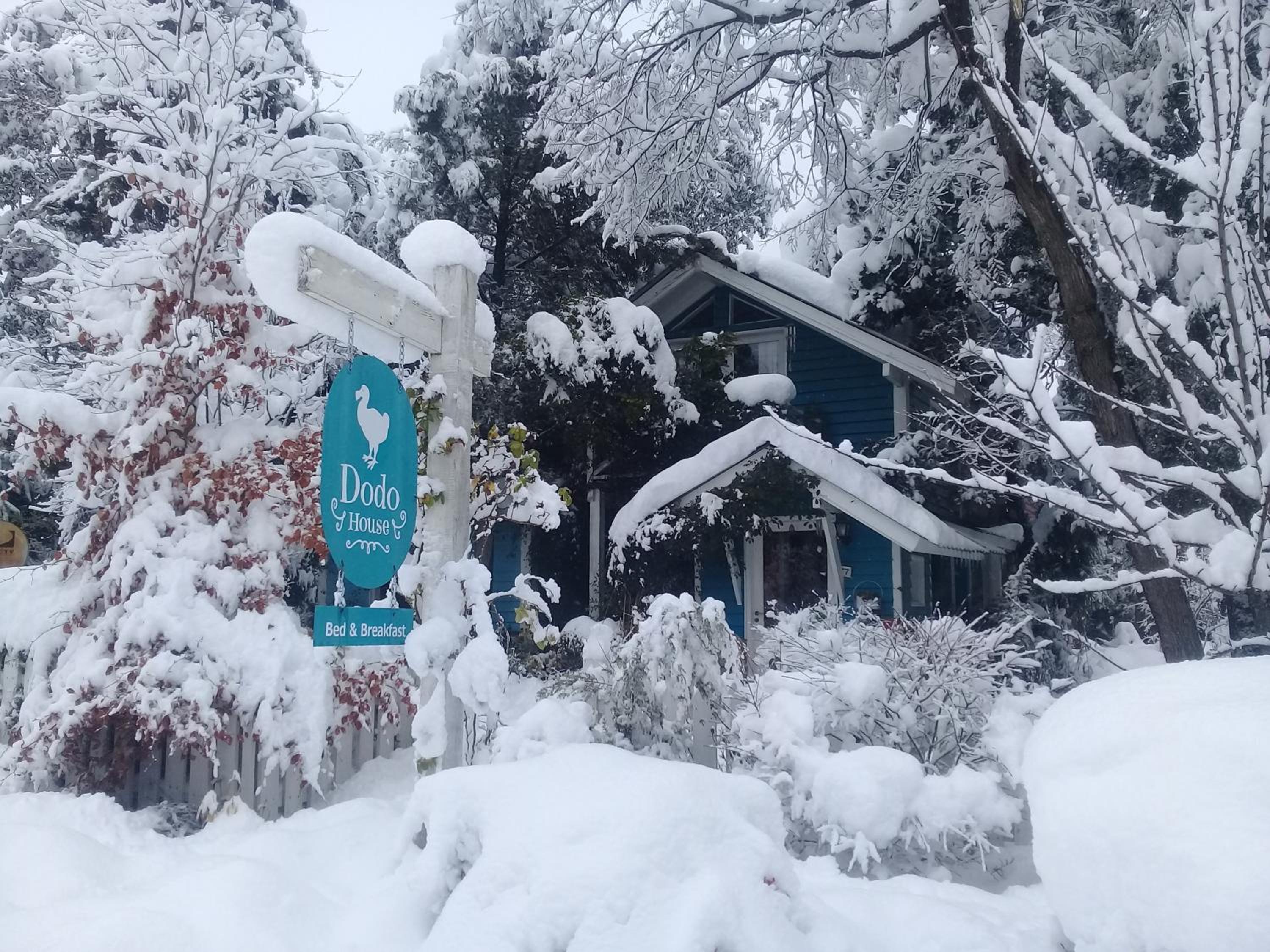 Dodo House Bed & Breakfast